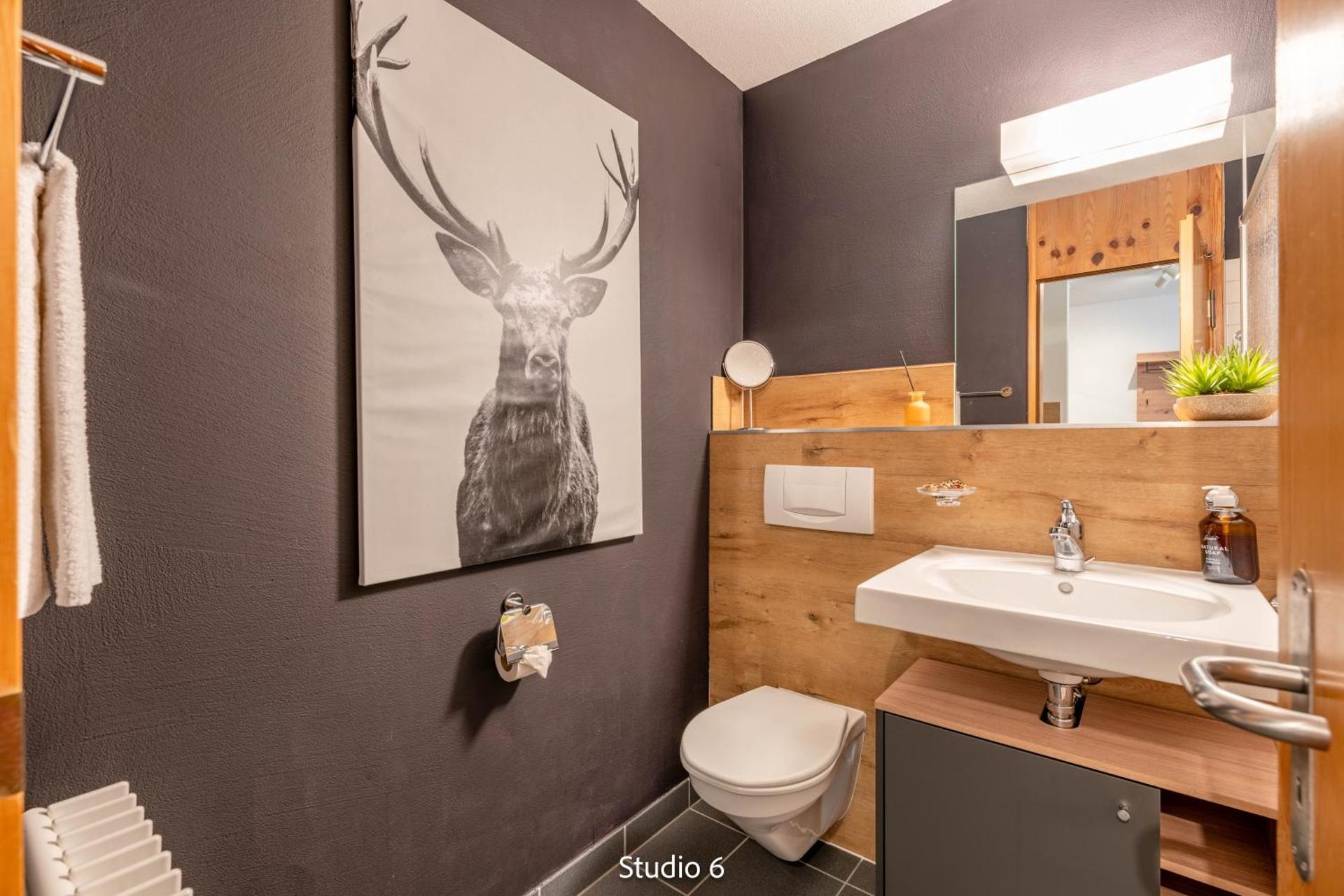 Very Central Lenzerheide Studio with Garage & Smart TV For Relax & Adventure