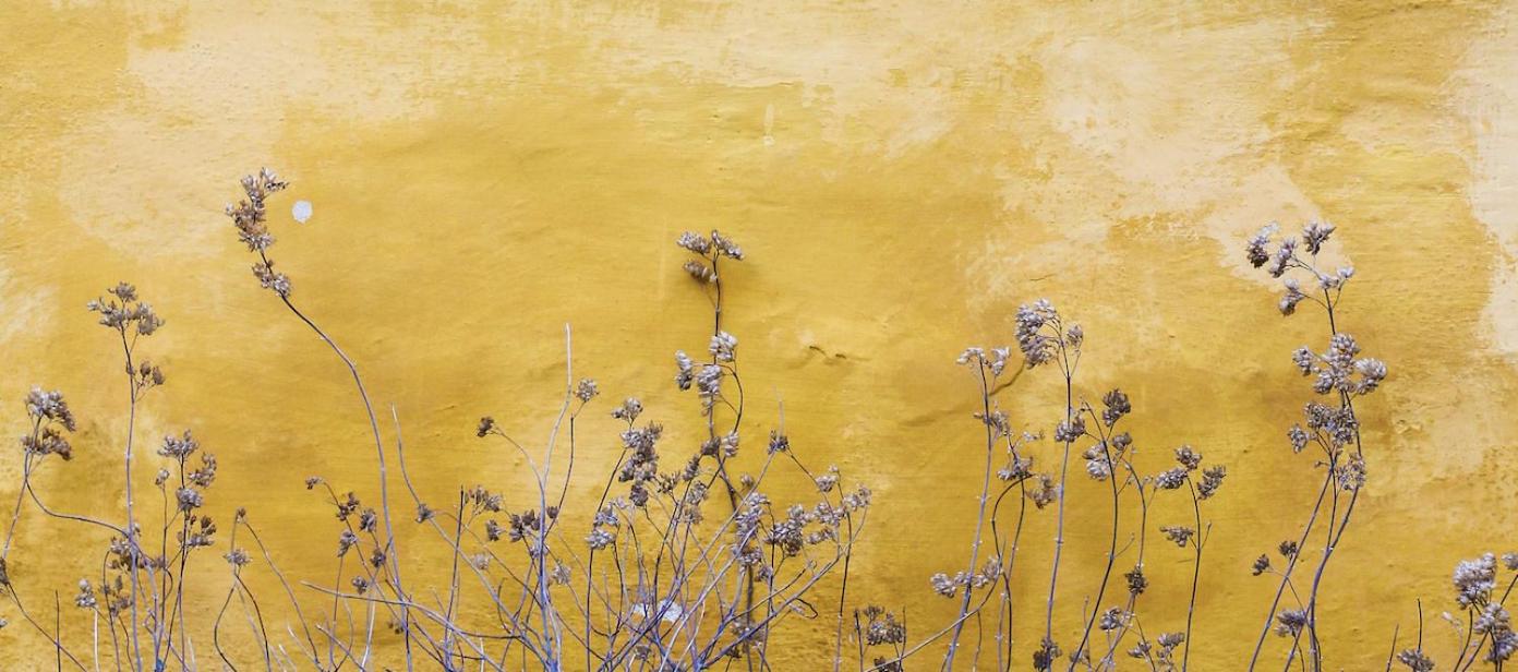 FELIP - Spacious and quiet apartments & one with Terrace