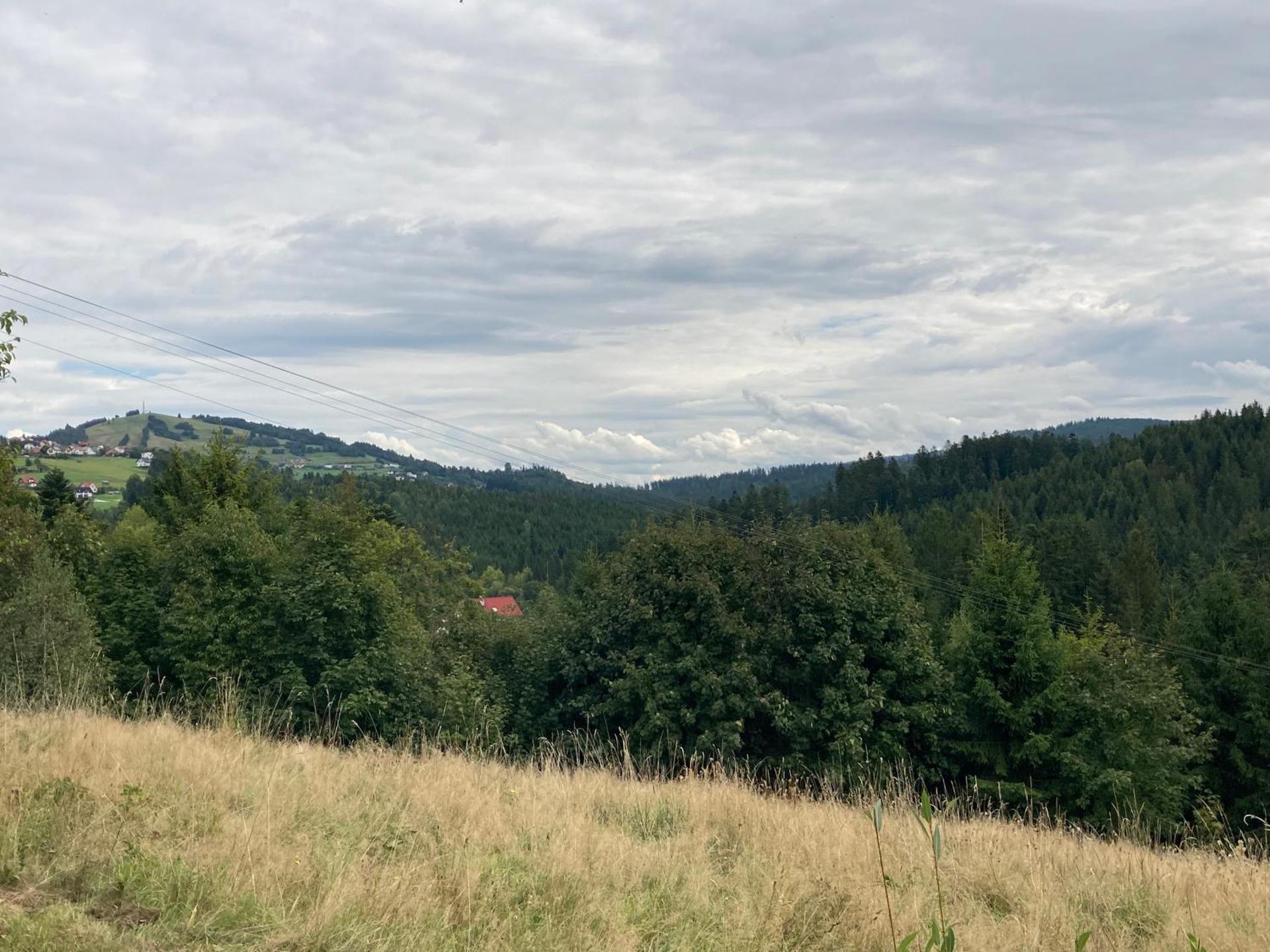 Dom w Sadzie Frydrychówka