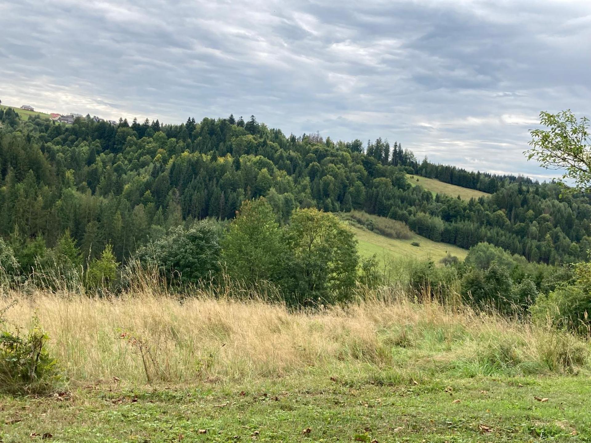 Dom w Sadzie Frydrychówka