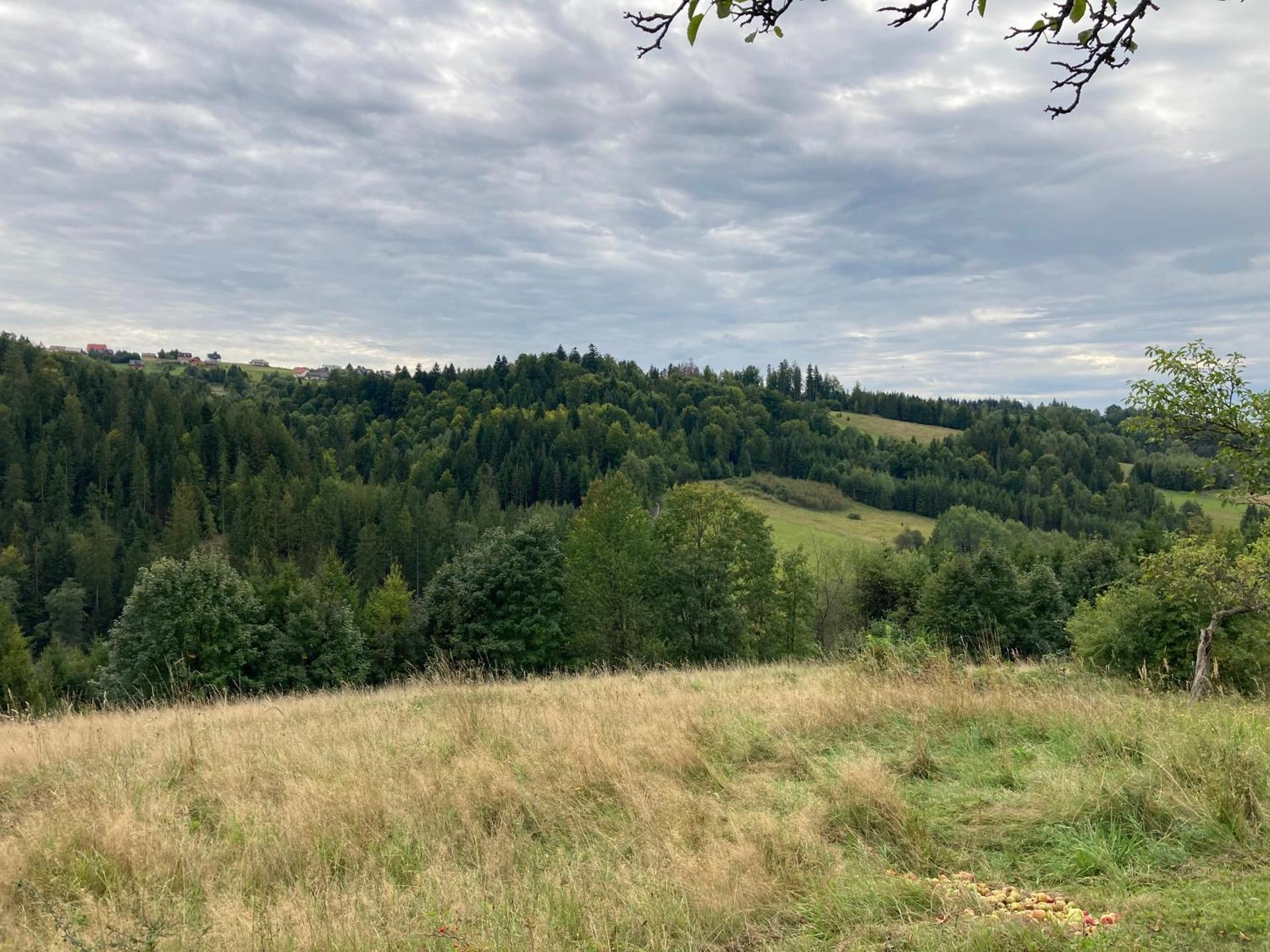 Dom w Sadzie Frydrychówka