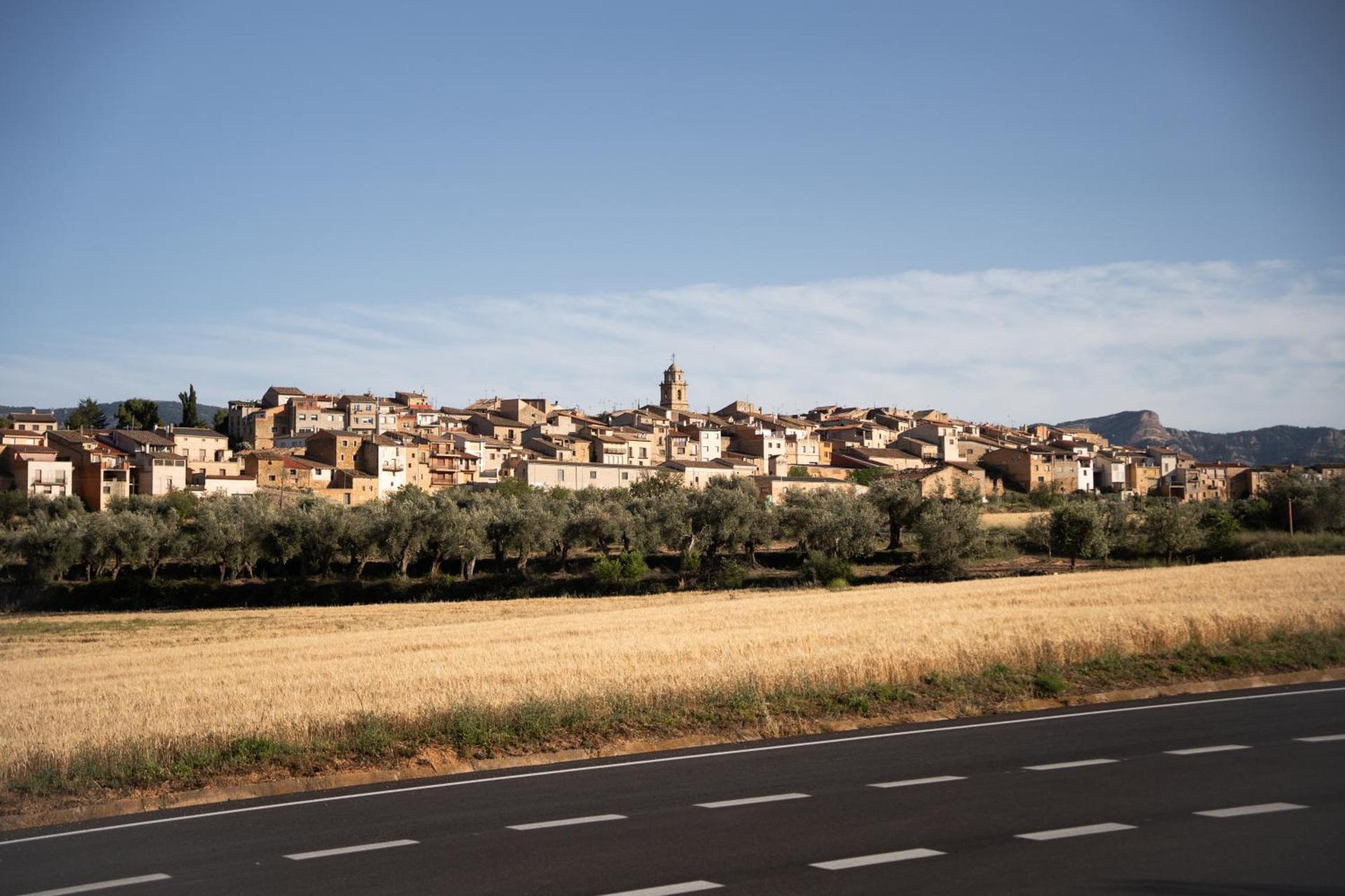 Hotel Hort De Fortunyo