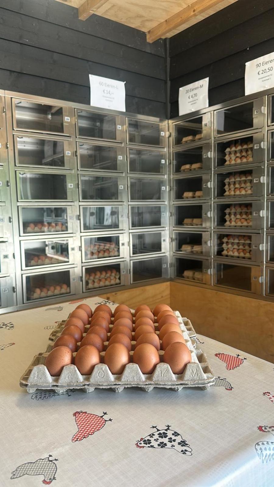 Veluws vakantiehuisje Kawoeper Lodge