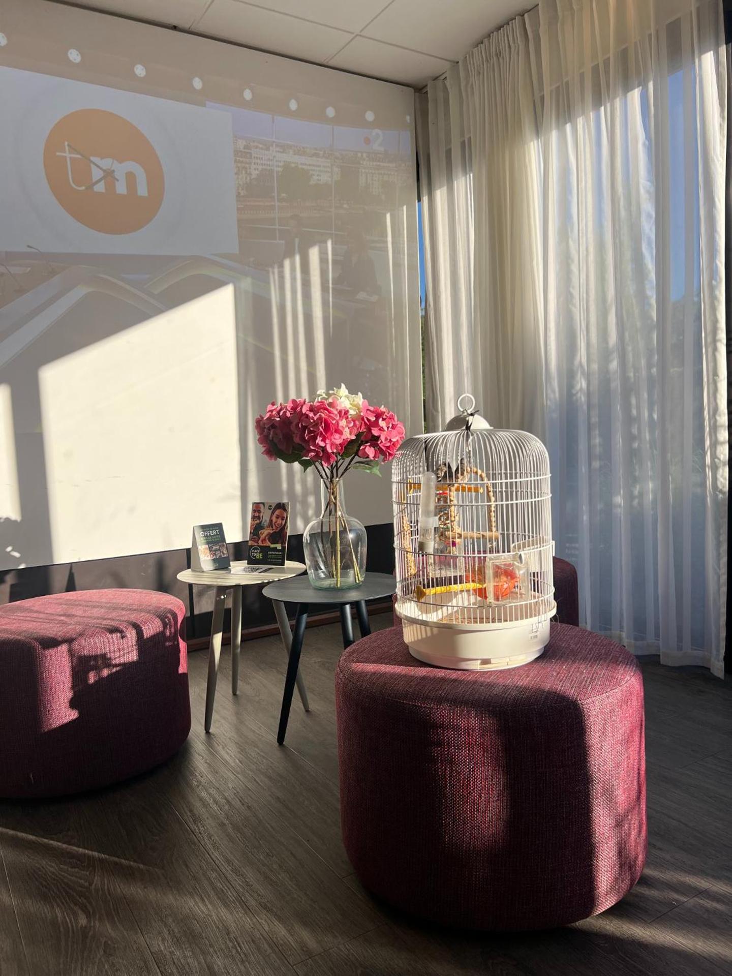 Communal lounge/ TV room