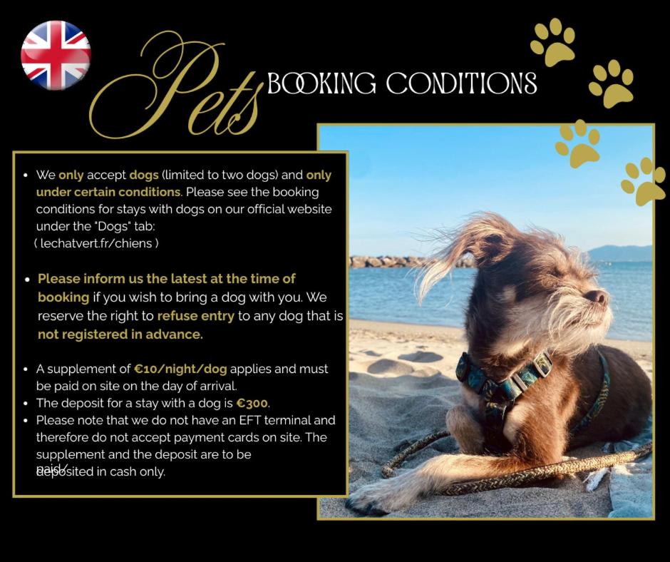 Le Chat Vert - Appartements Adults Only