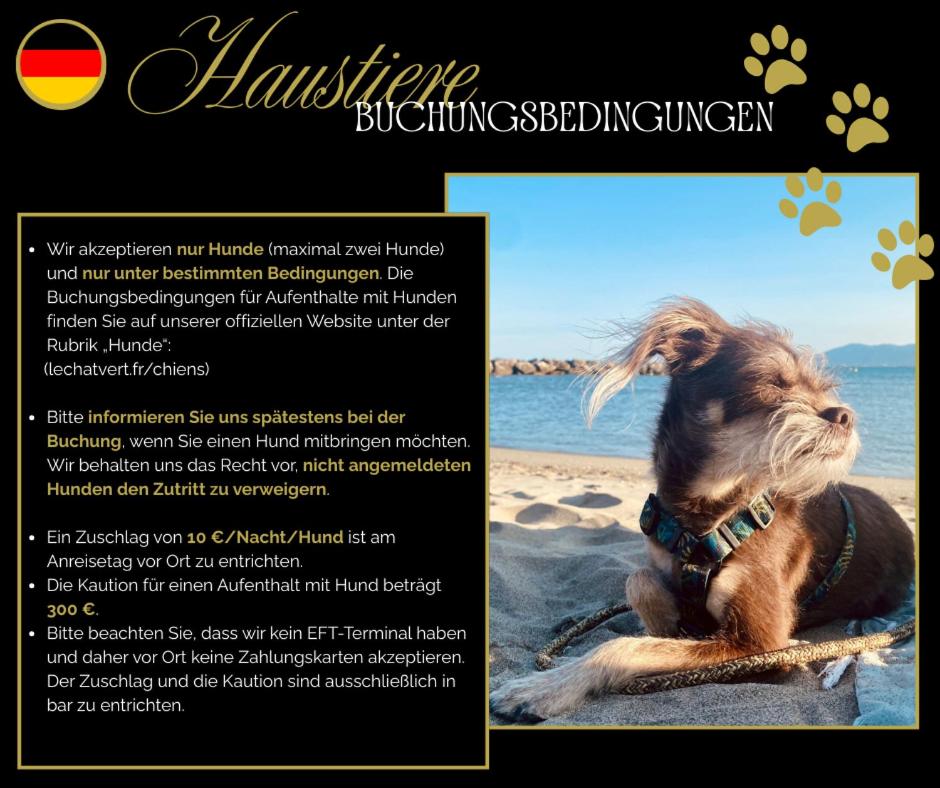 Le Chat Vert - Appartements Adults Only