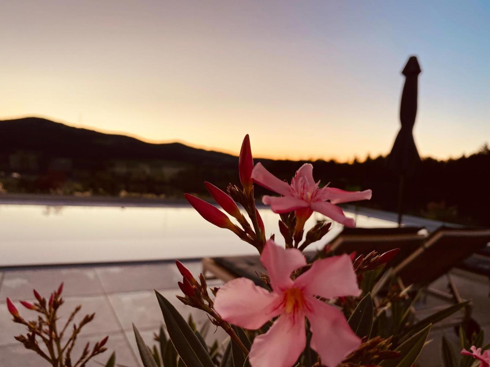 Haus Vogl - Fewo mit priv. Sauna und traumhaften Salzwasser-Pool