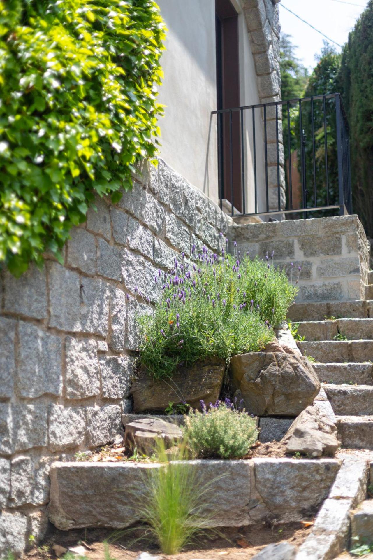 Les Planes de Viladrau