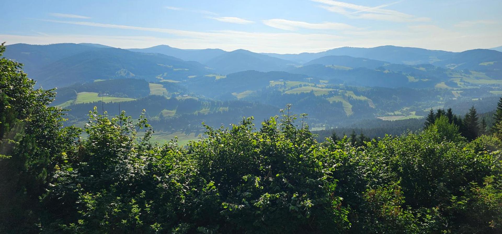 View (from property/room)