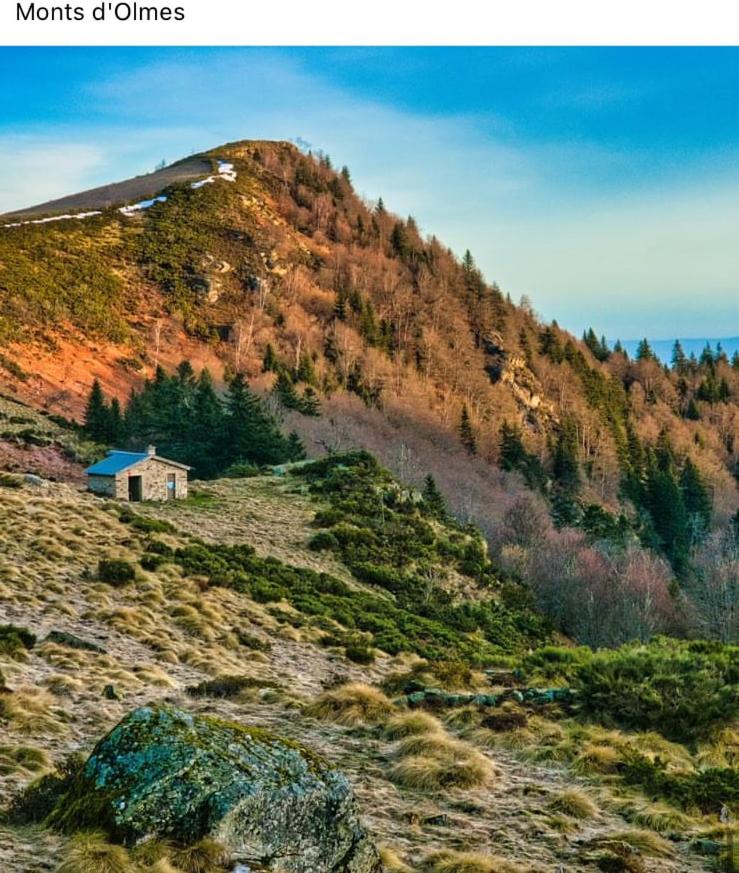 Charmant appartement mansardé en centre ville de Foix