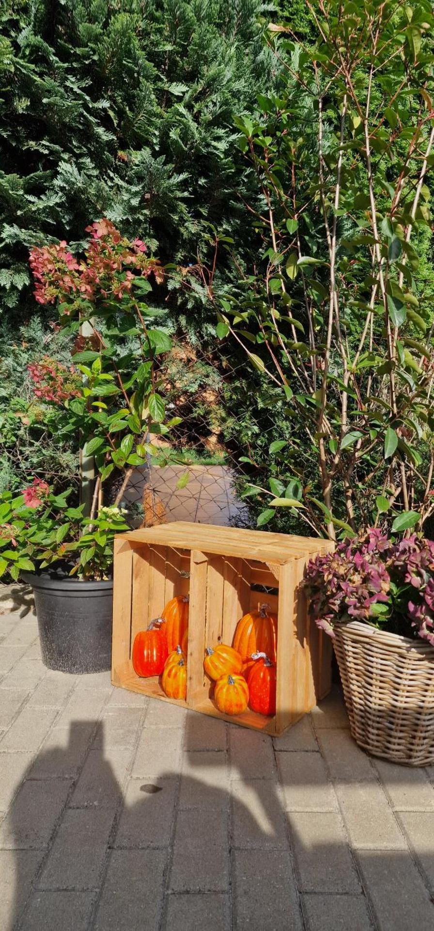 Śpij-tu dom wypoczynkowy jacuzzi w cenie