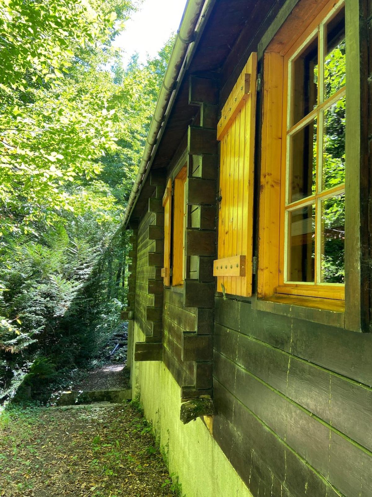 Refuge Nature - Chalet avec Terrasse vue forêt