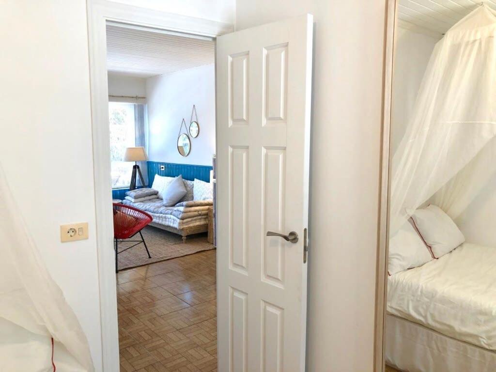 The Cliffs - Bannanas Longboard