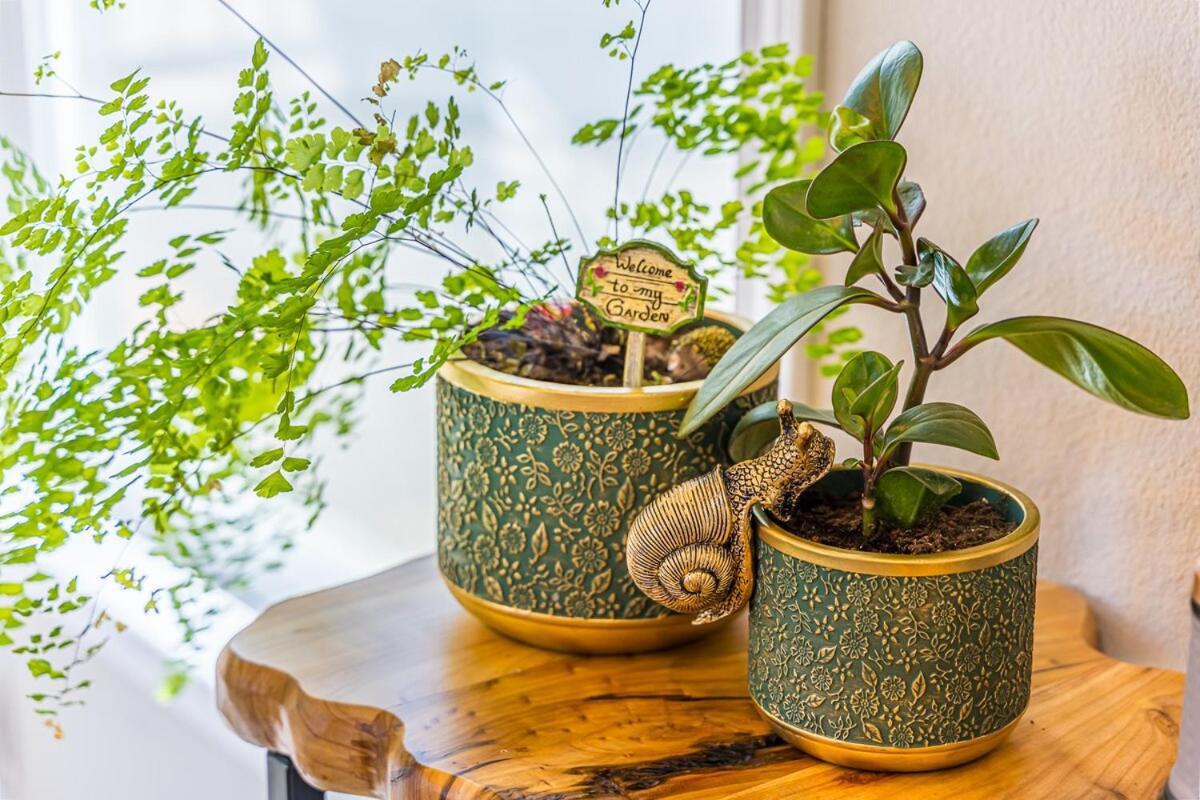 Rainforest Tiny Home Retreat #25 Enchanted