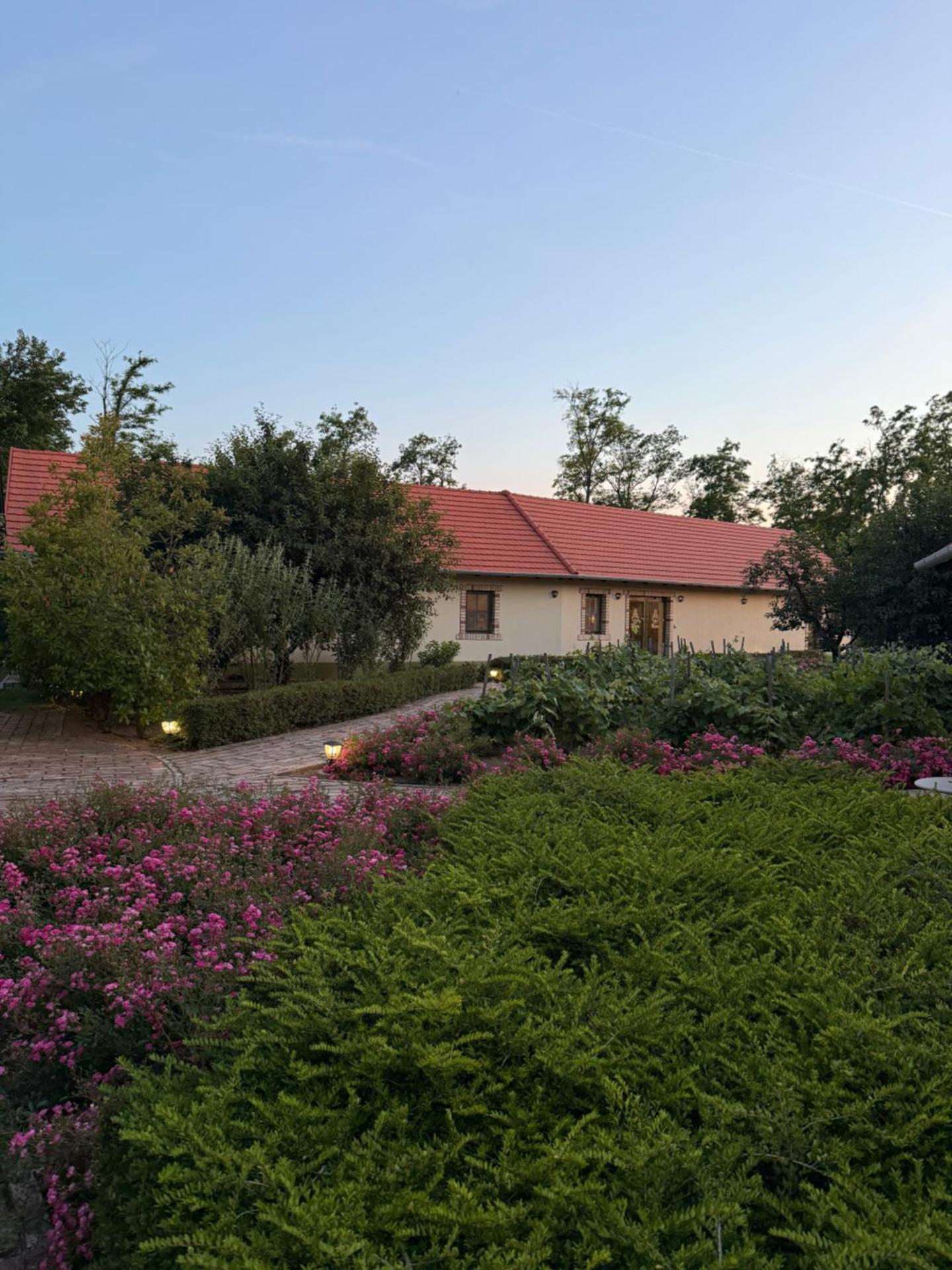 BÉNI family wine farm