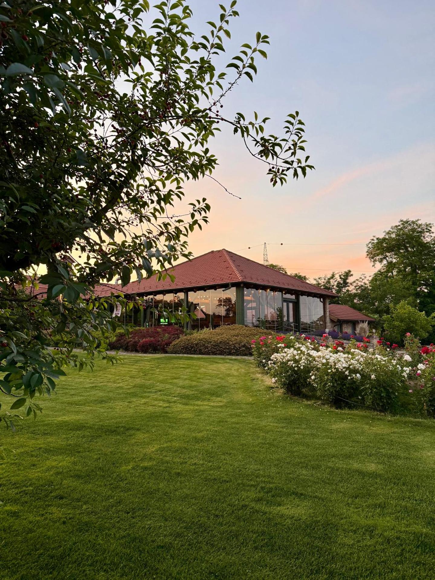 BÉNI family wine farm