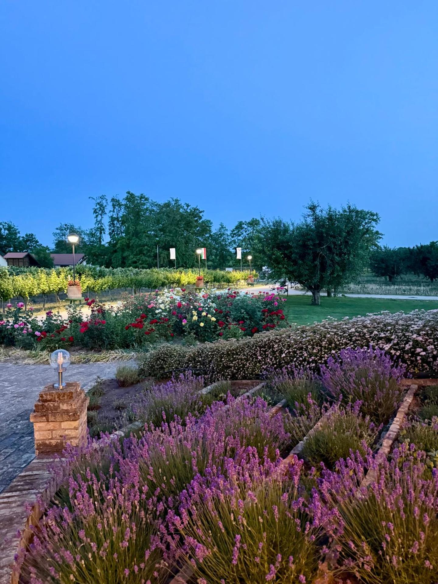 BÉNI family wine farm