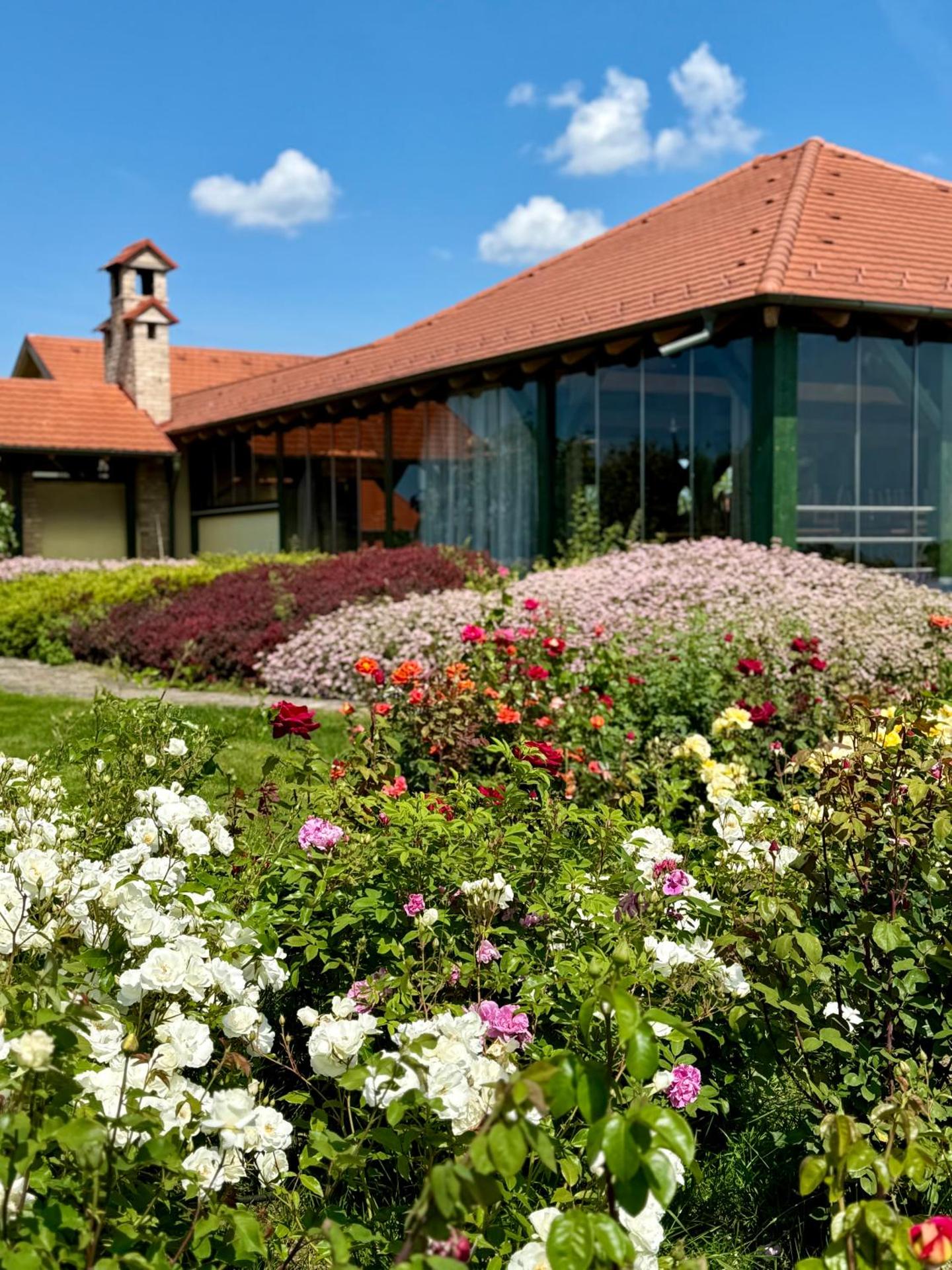 BÉNI family wine farm