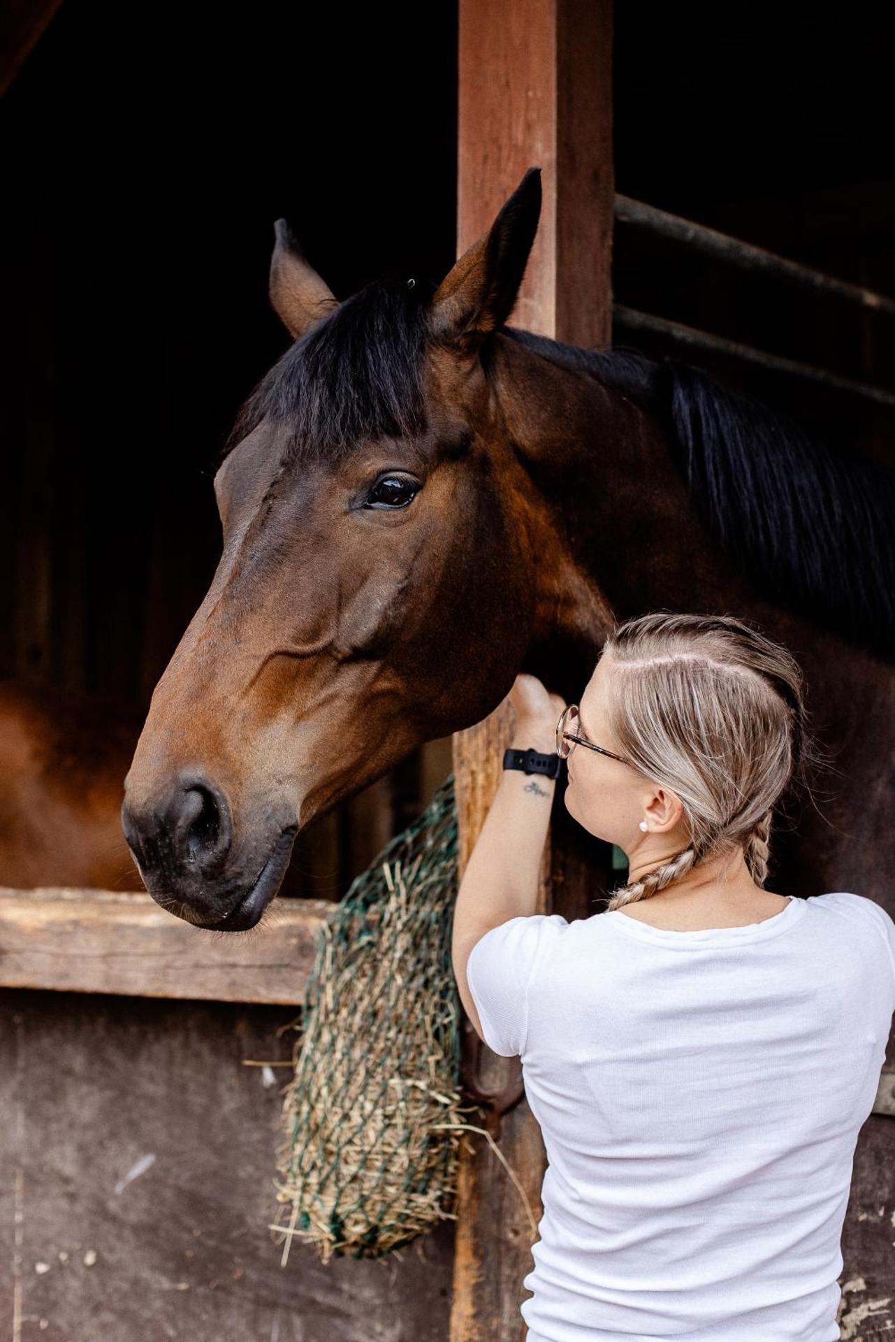 Gutshof Zum Adlernest