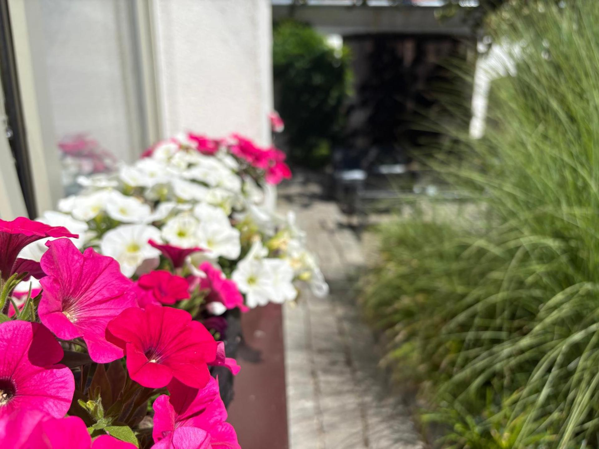 Rezidence U Kamenného mostu