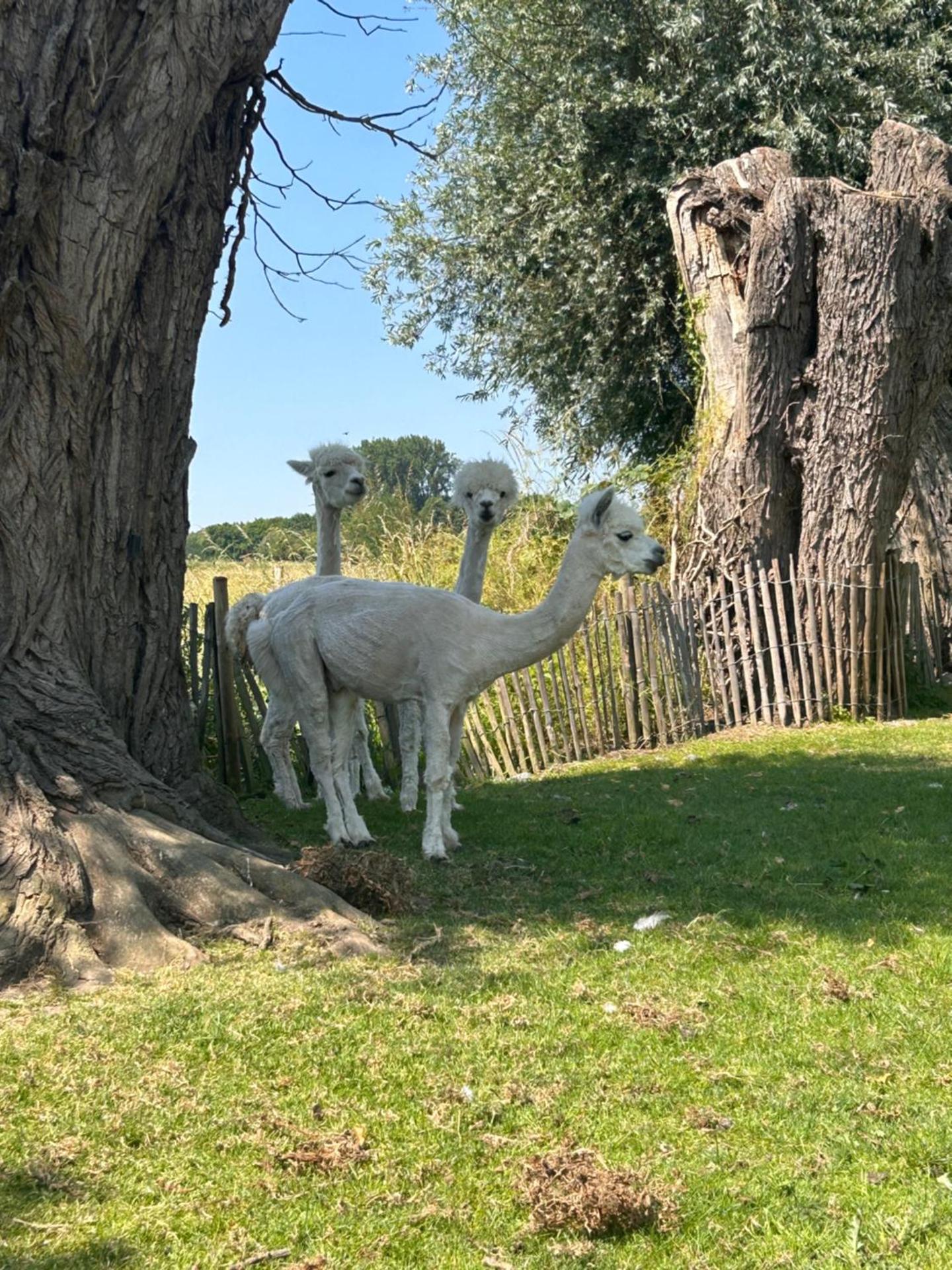 MMGhome - Gîte à la ferme