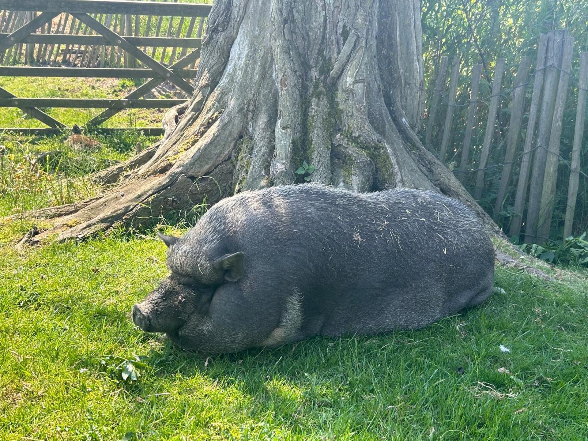 MMGhome - Gîte à la ferme