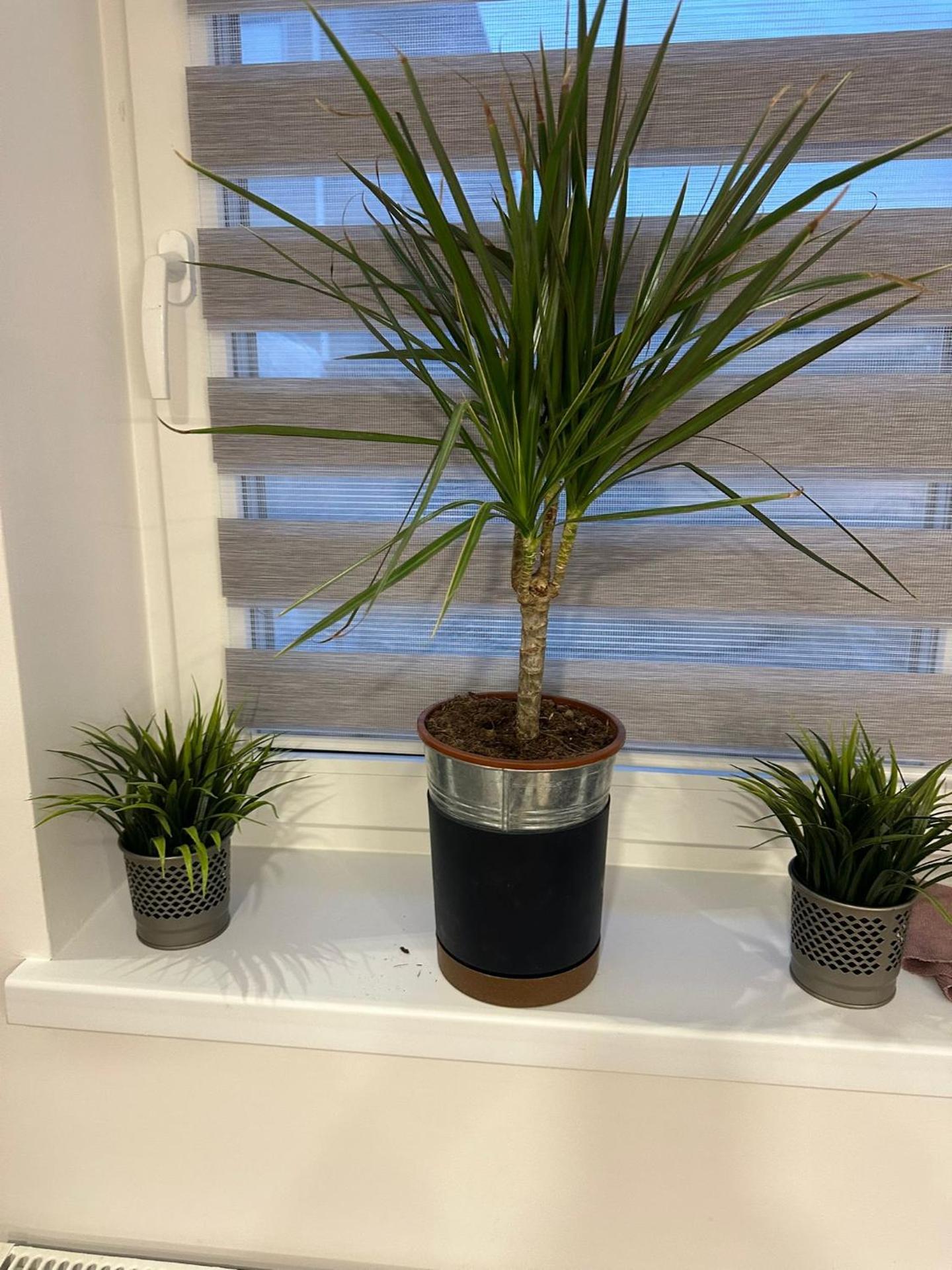 Hostel Vista near Minsk Mazowiecki