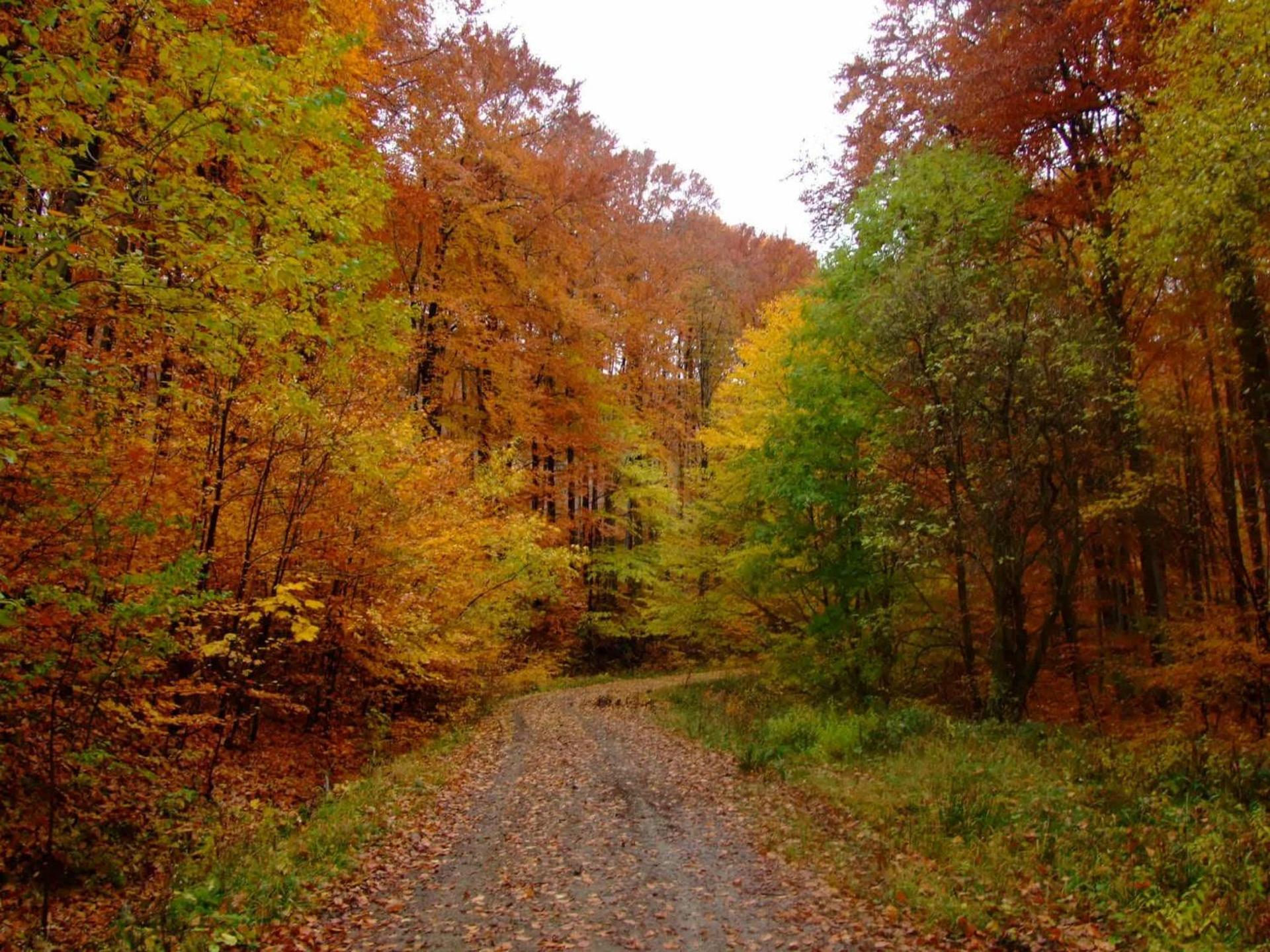 Relax Wellness Apartman