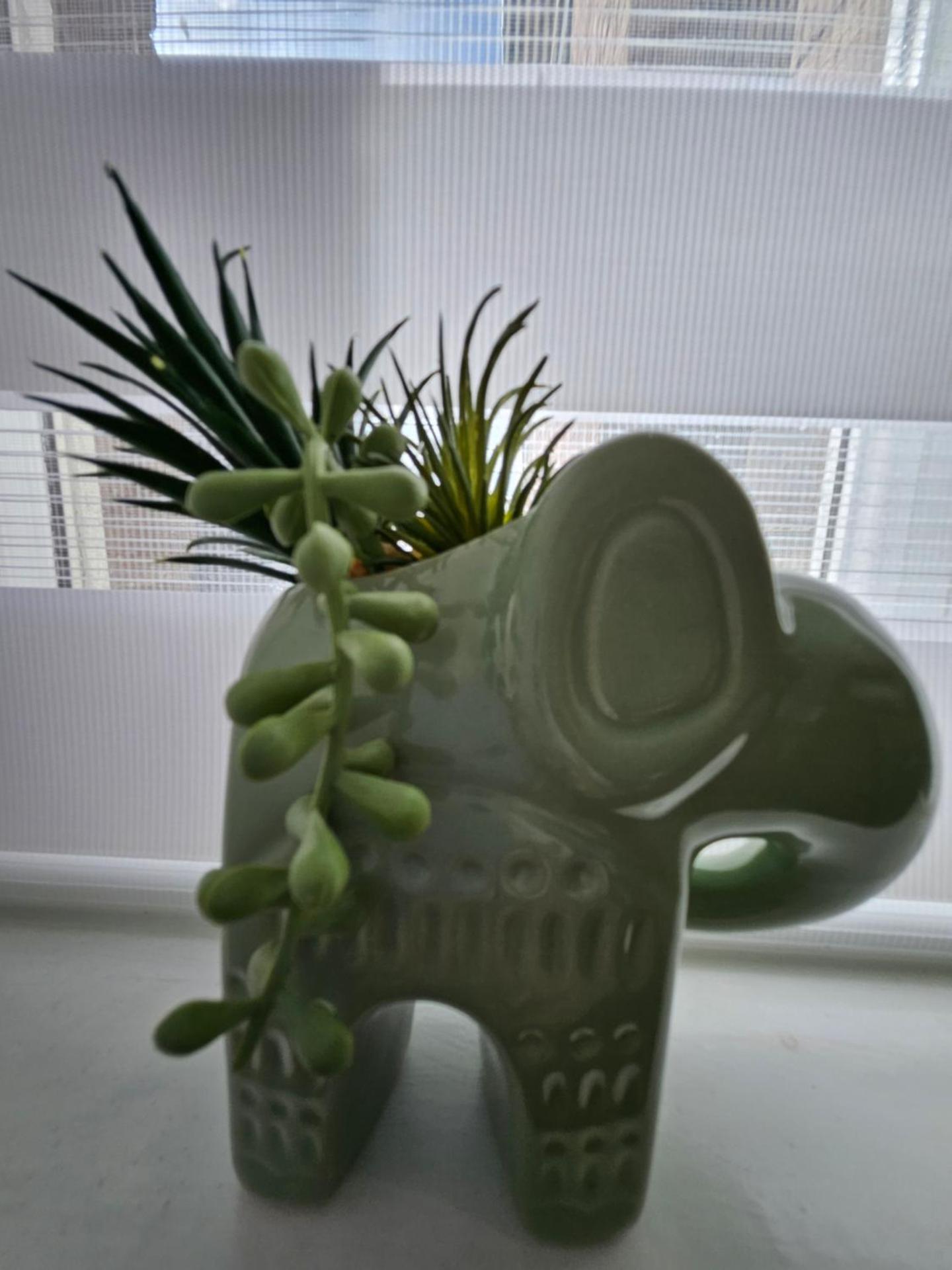 Central Chambers Suites - Suite 1