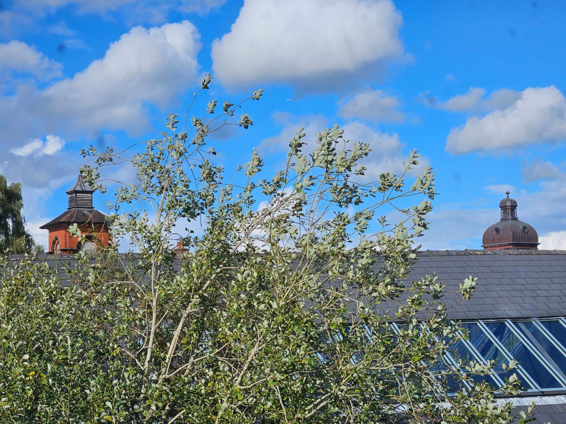 Central Chambers Suites - Suite 5