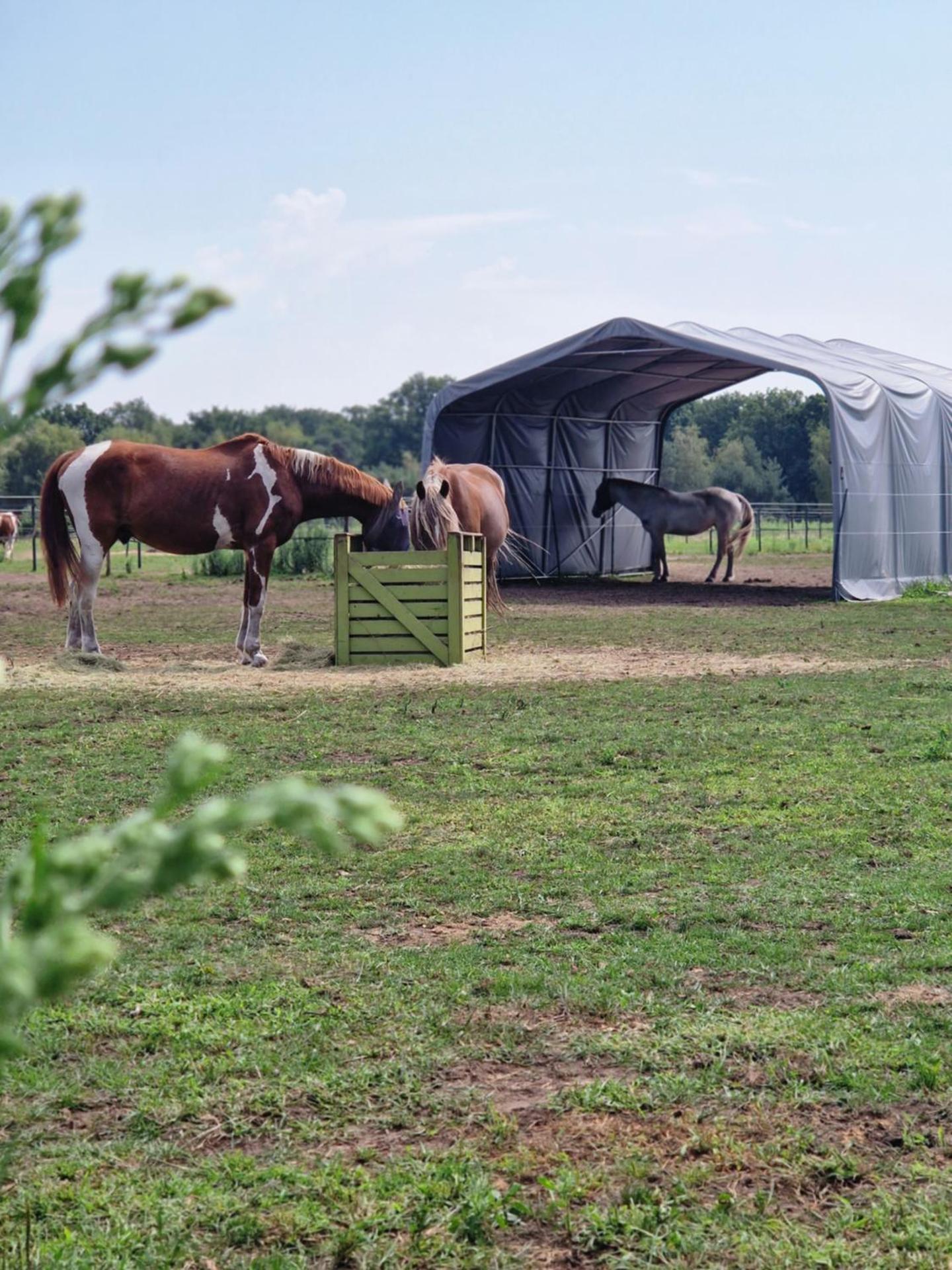 Landgoed de Bossenhoeve