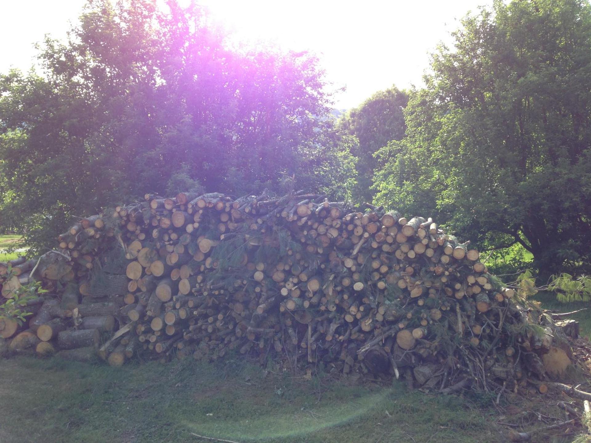 Evening entertainment