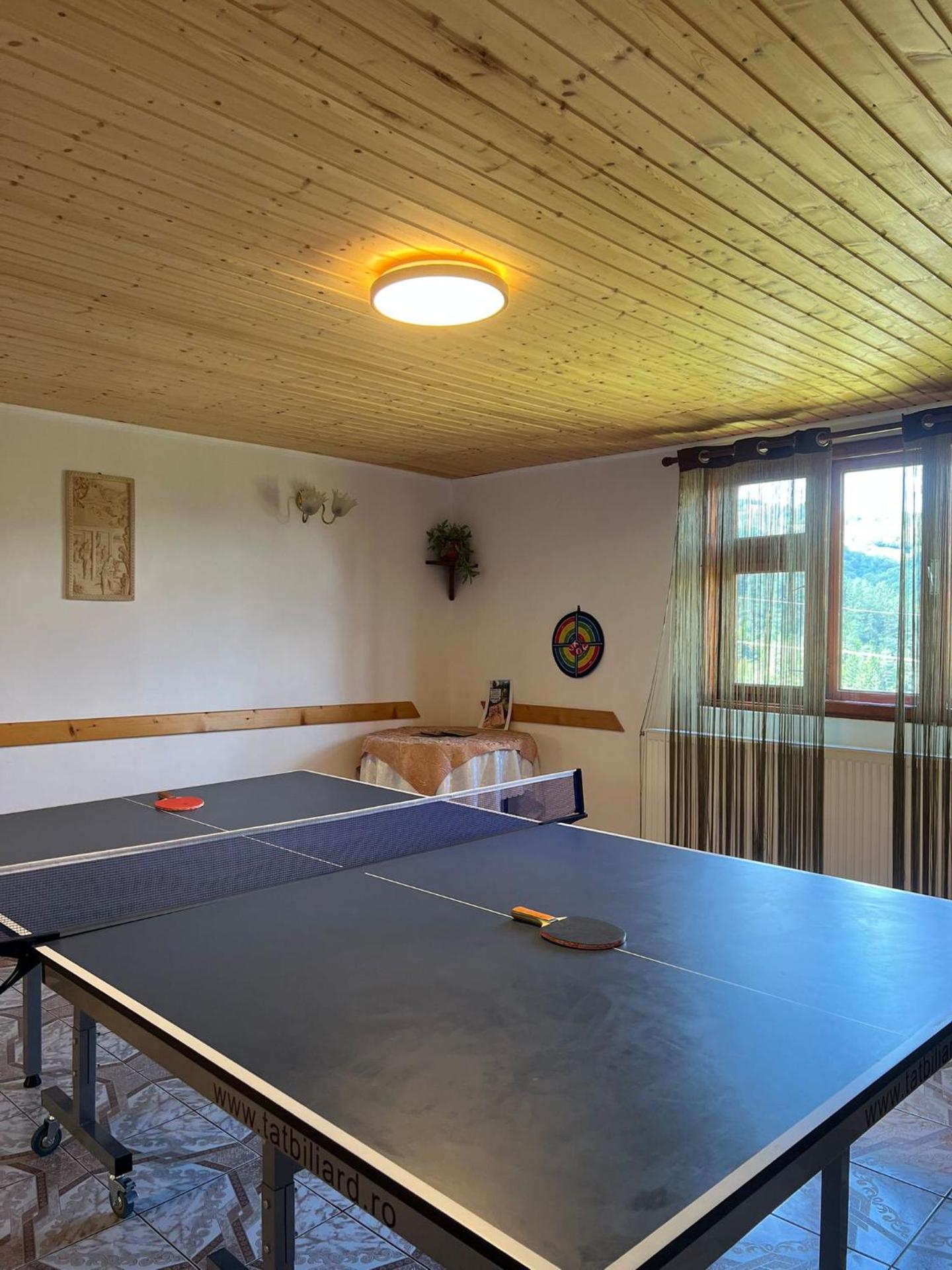 Table tennis