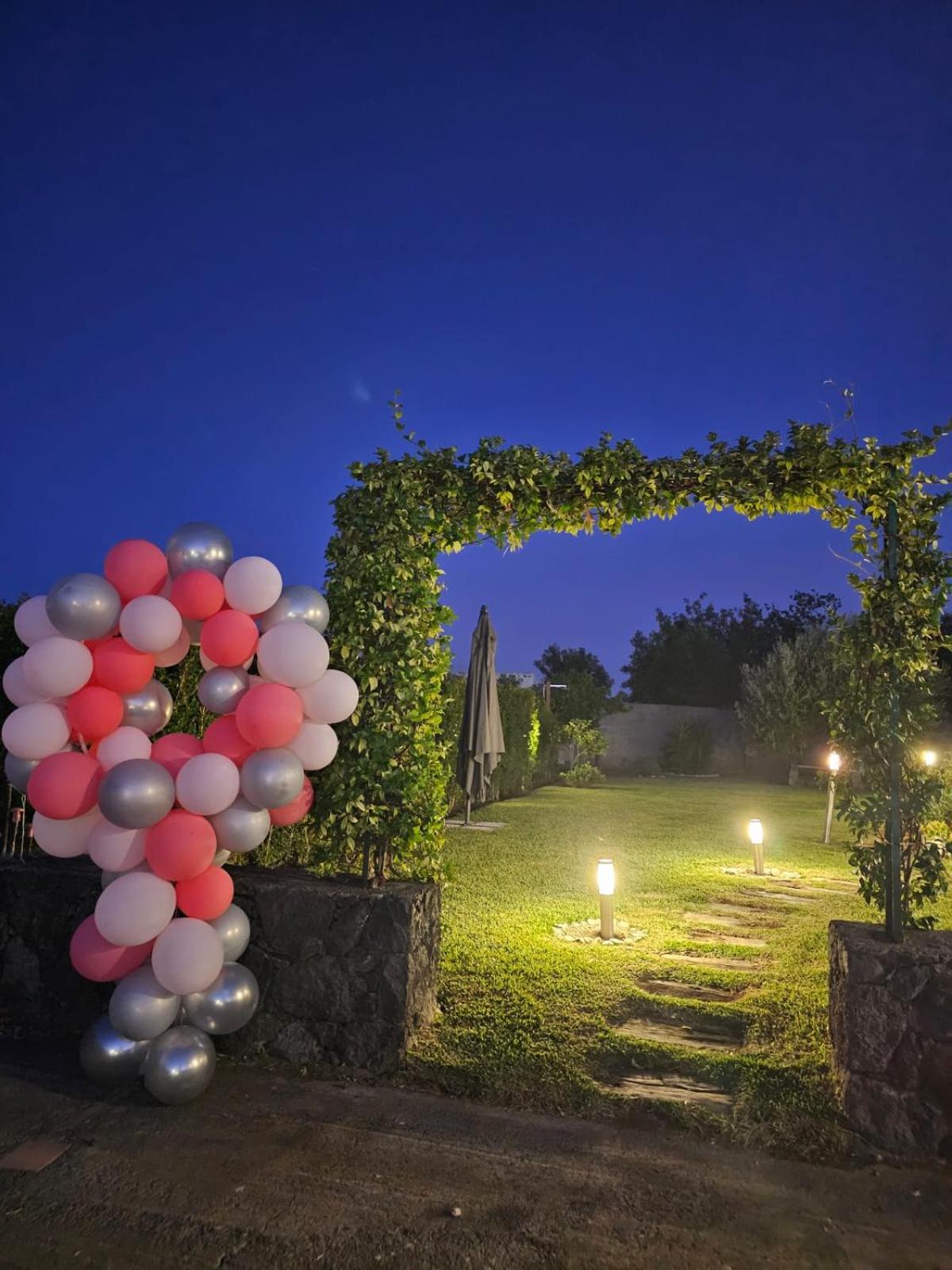 Beautiful Etna's view