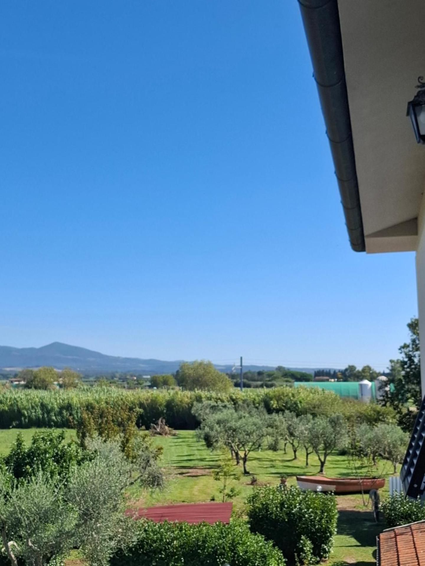 Appartamento Rosa Bianca A Vada