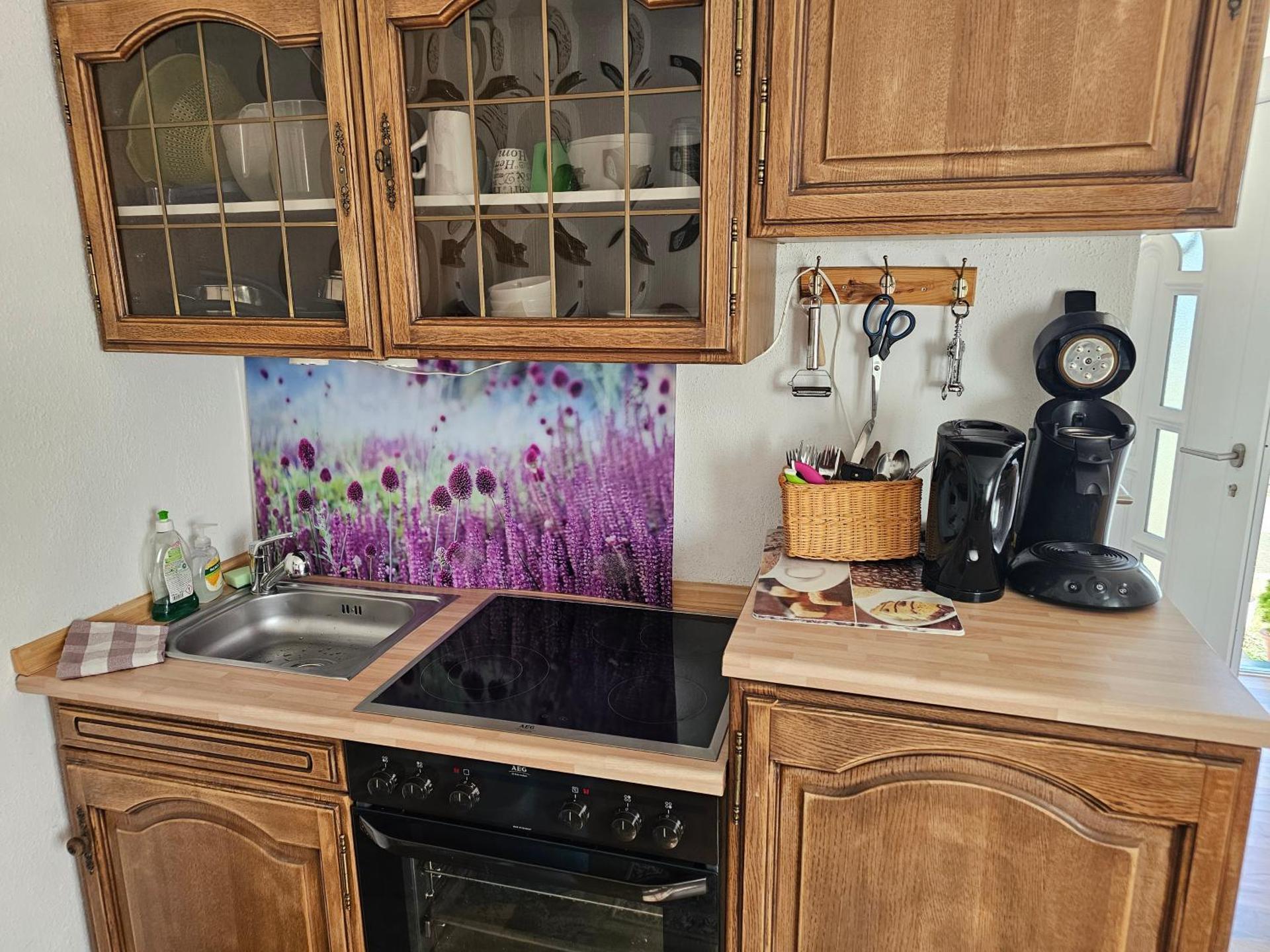 Holzhaus Chalet Nationalpark Eifel Hund willkommen