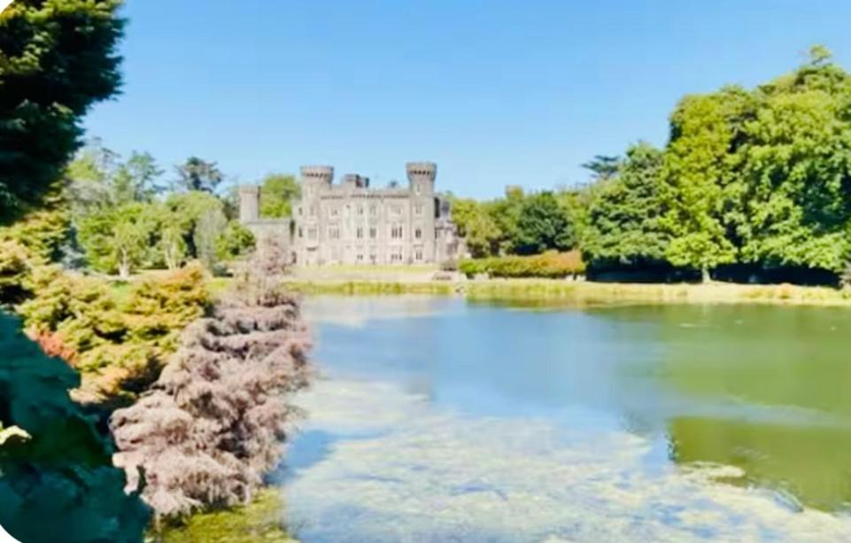 Quiet Room in Wexford with Local Charm