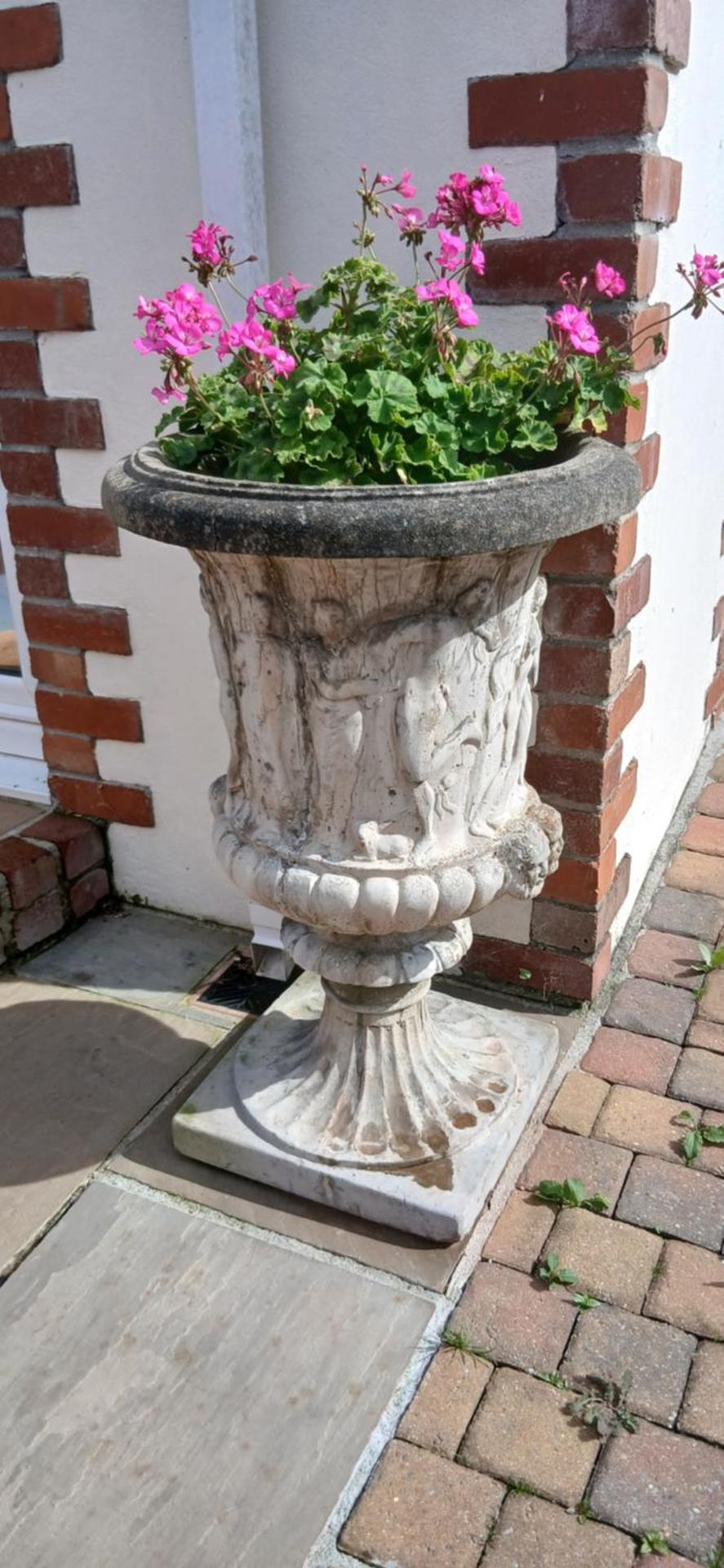 Garden View Apartment