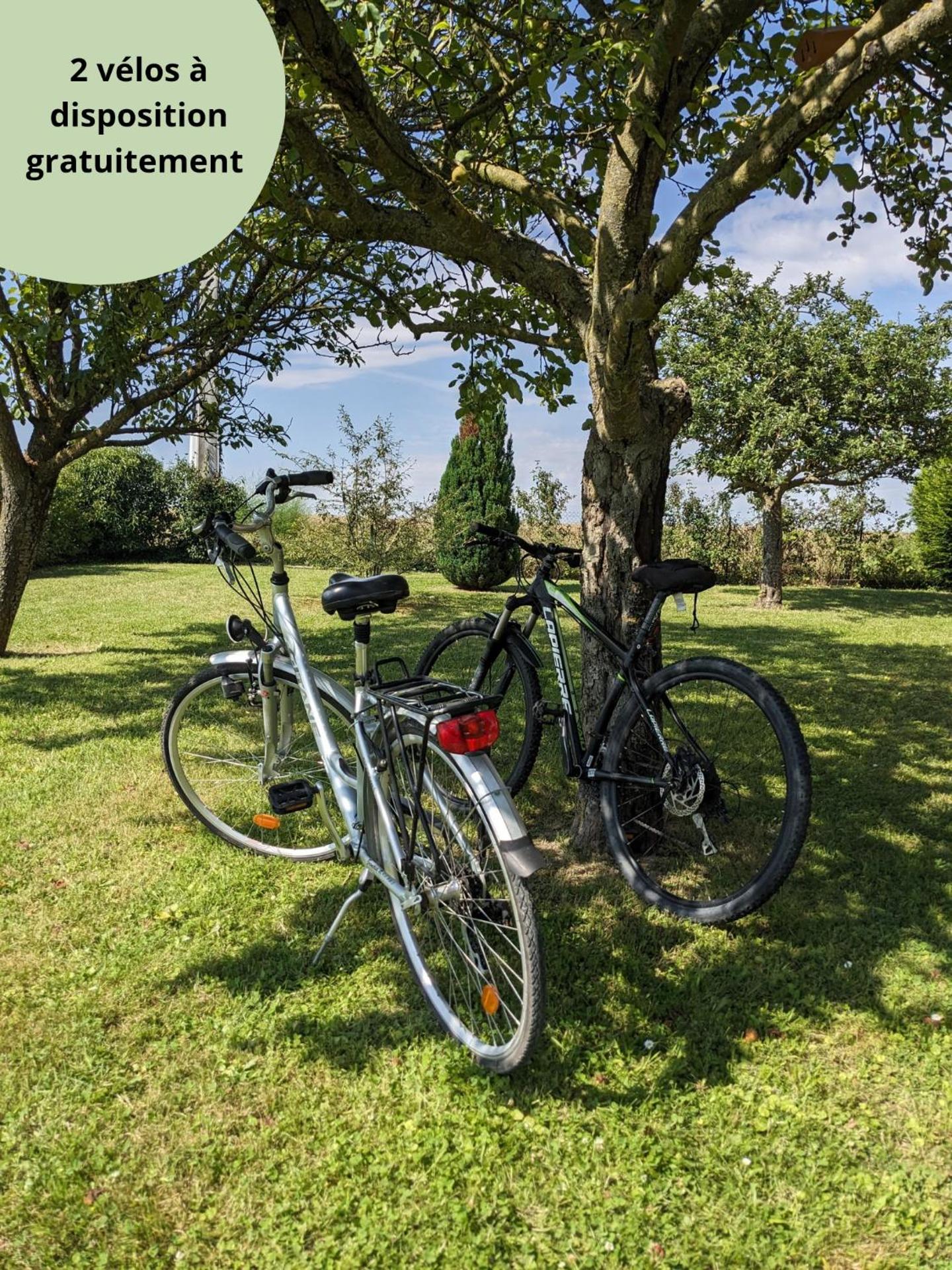 Le Coquelicot - Châlet avec SPA
