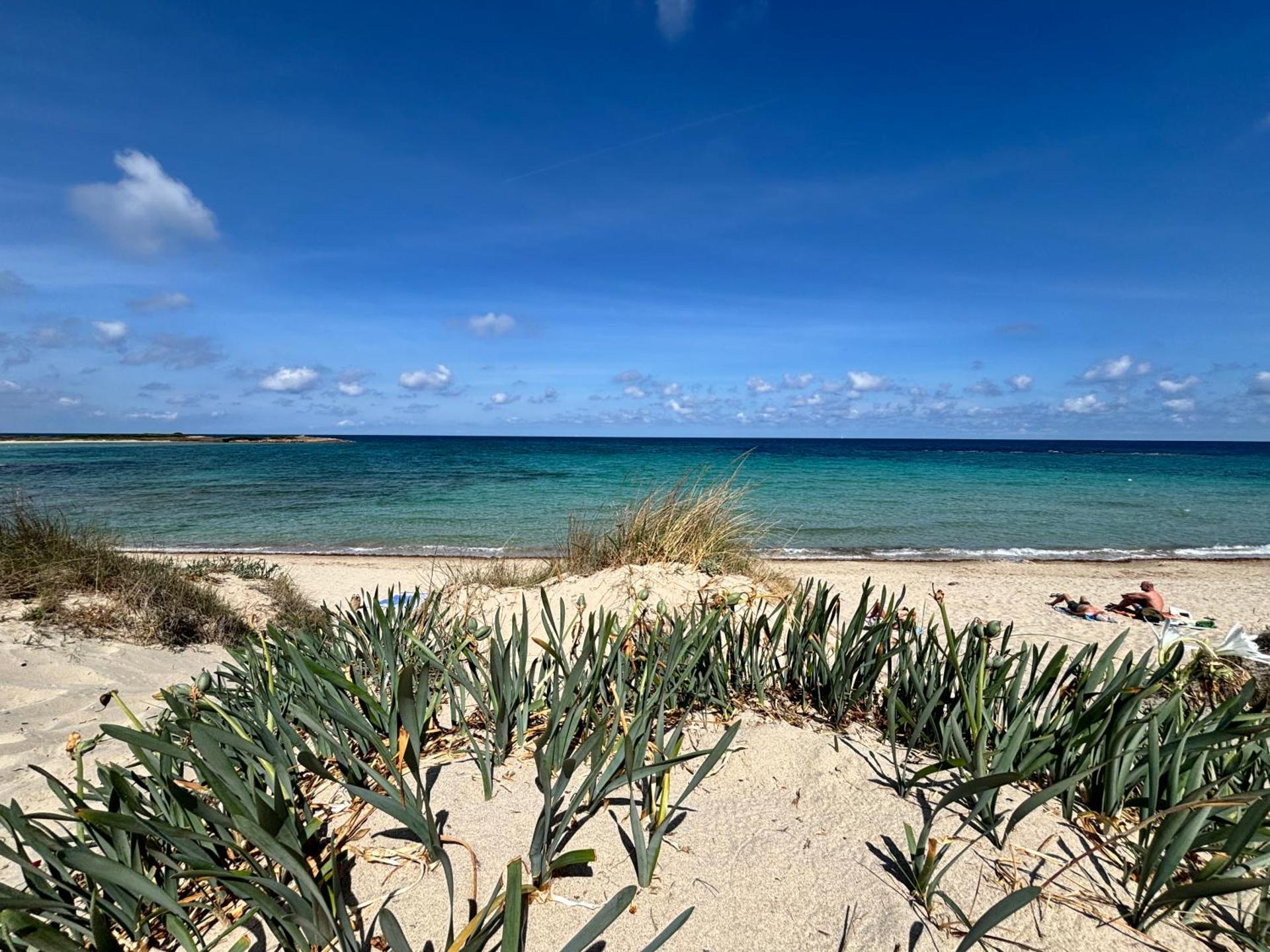 Aeneas Villa Pool & Jacuzzi al mare Torre Guaceto