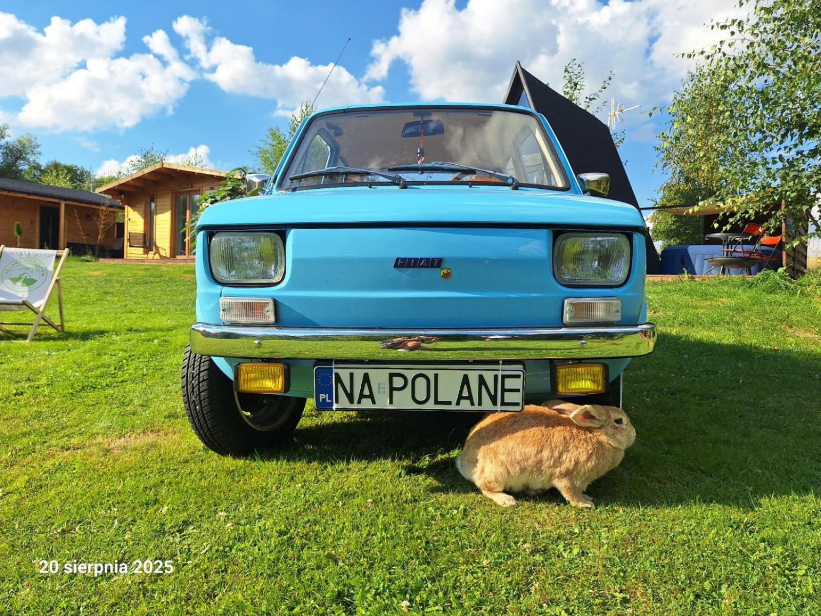 Agroturystyka Polana Giebułtów obok Świeradowa i zamku Czocha, domki przyjazne rodzinom z dziećmi