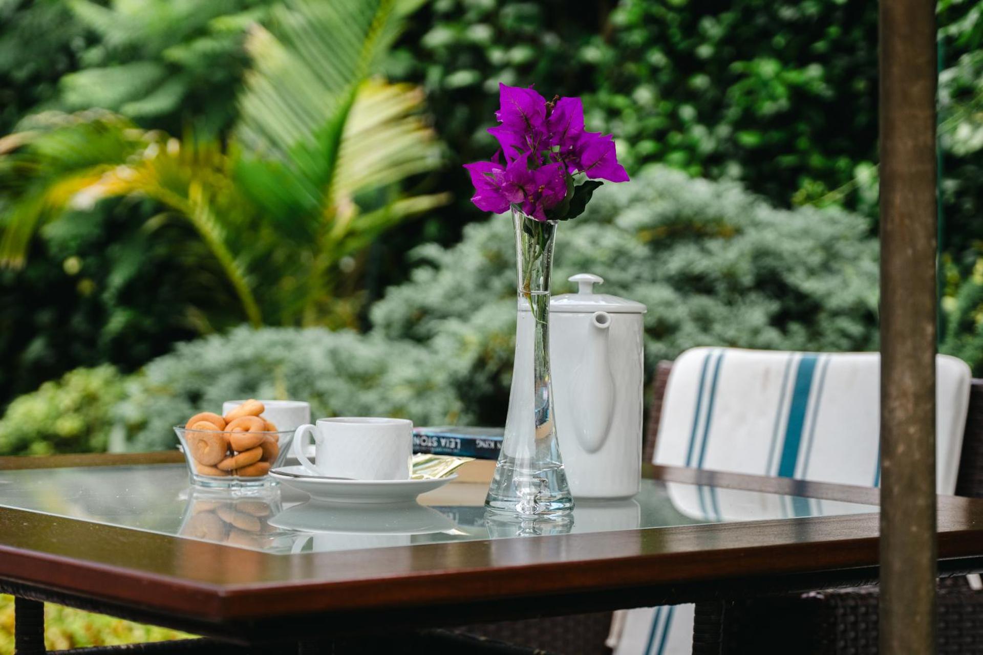 Terra Vivaz - Ribeira Cottage