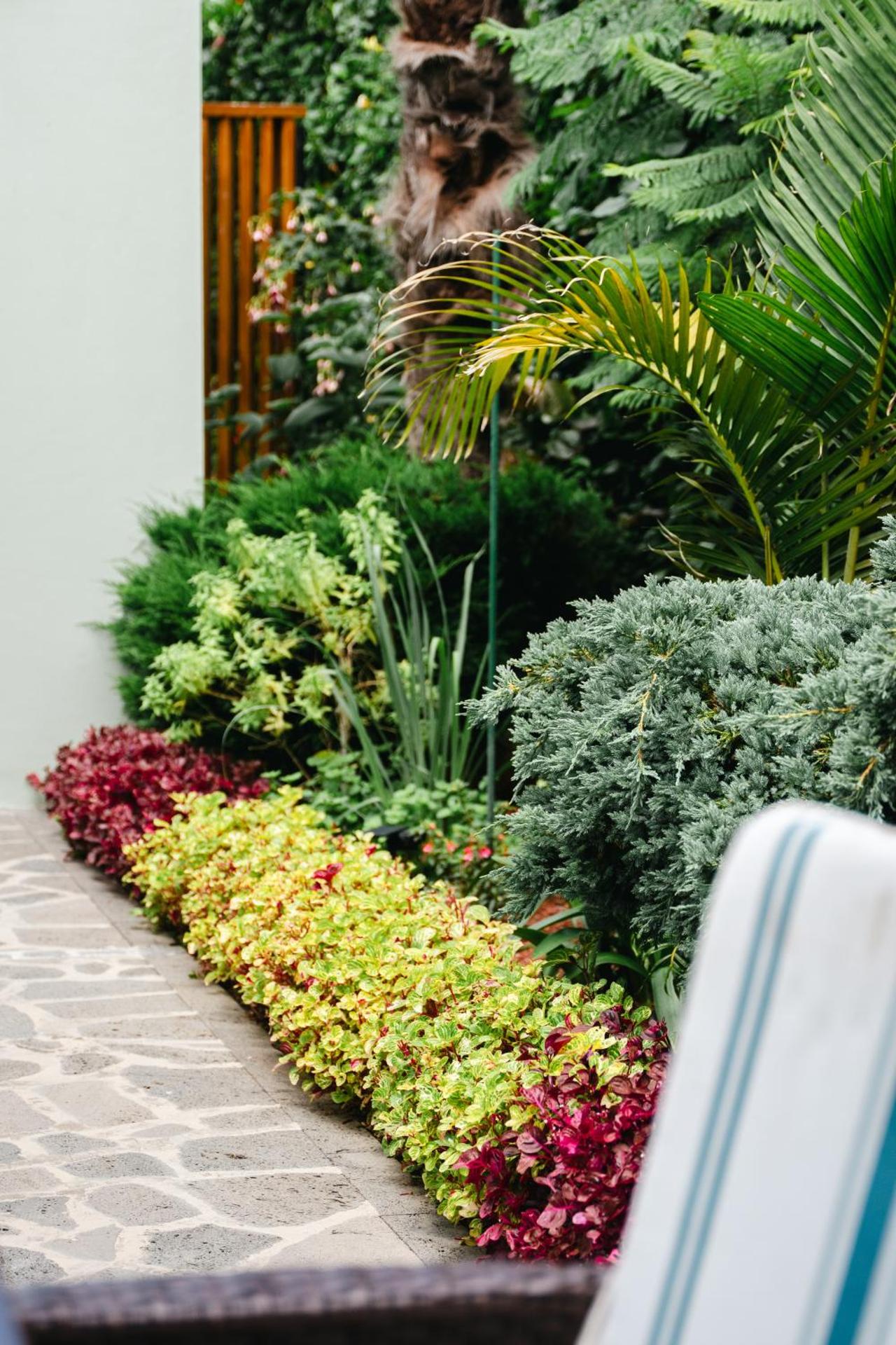 Terra Vivaz - Ribeira Cottage