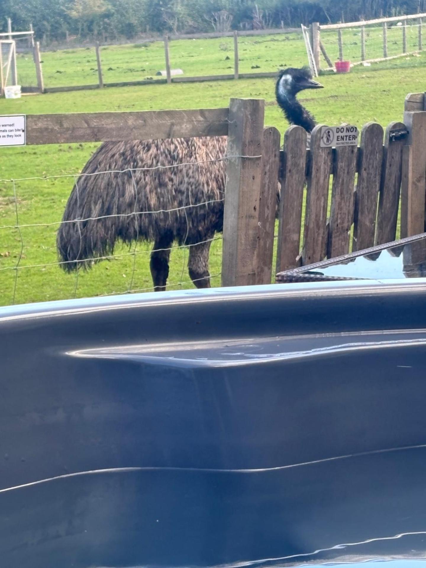 Bridie -rose with wood tub country retreat