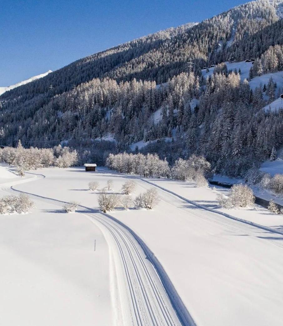 Gemütliches Walliser Chalet Nahe Aletschgebiet