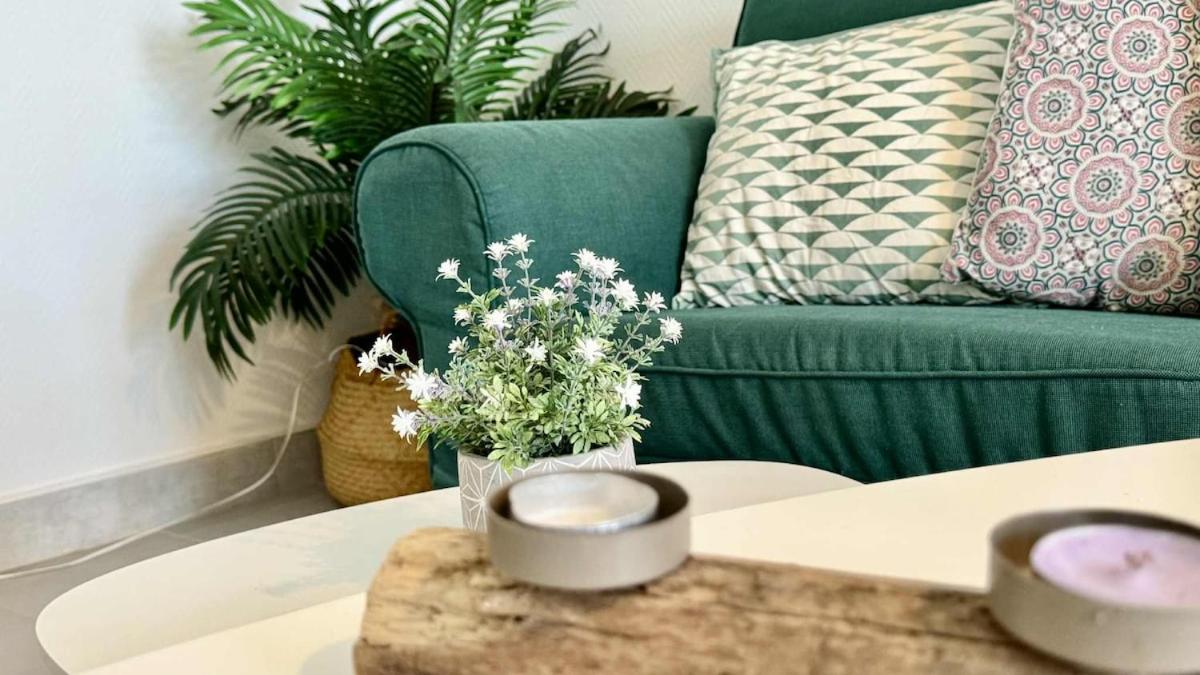 Tête en l'air- Cocon Lumineux- Centre Muret- Parking et commodités