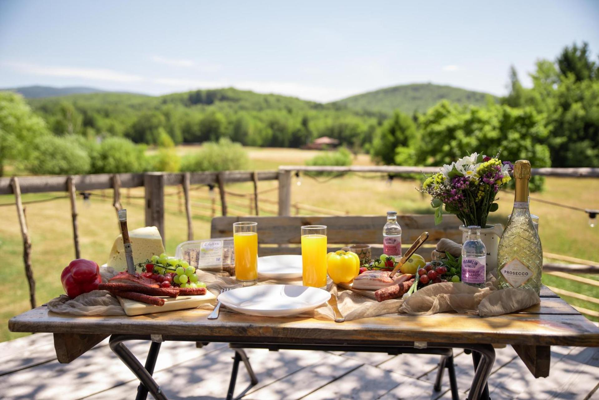 Holiday Nature House