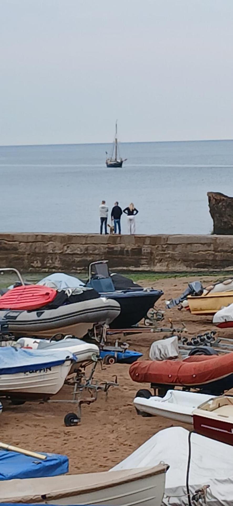 Garden View Apartment