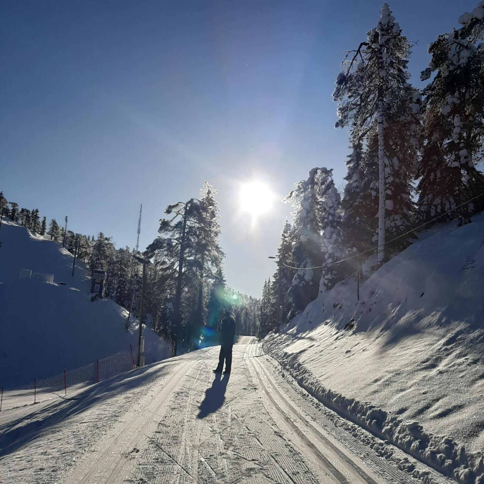 Chill Cave - logwood cottage