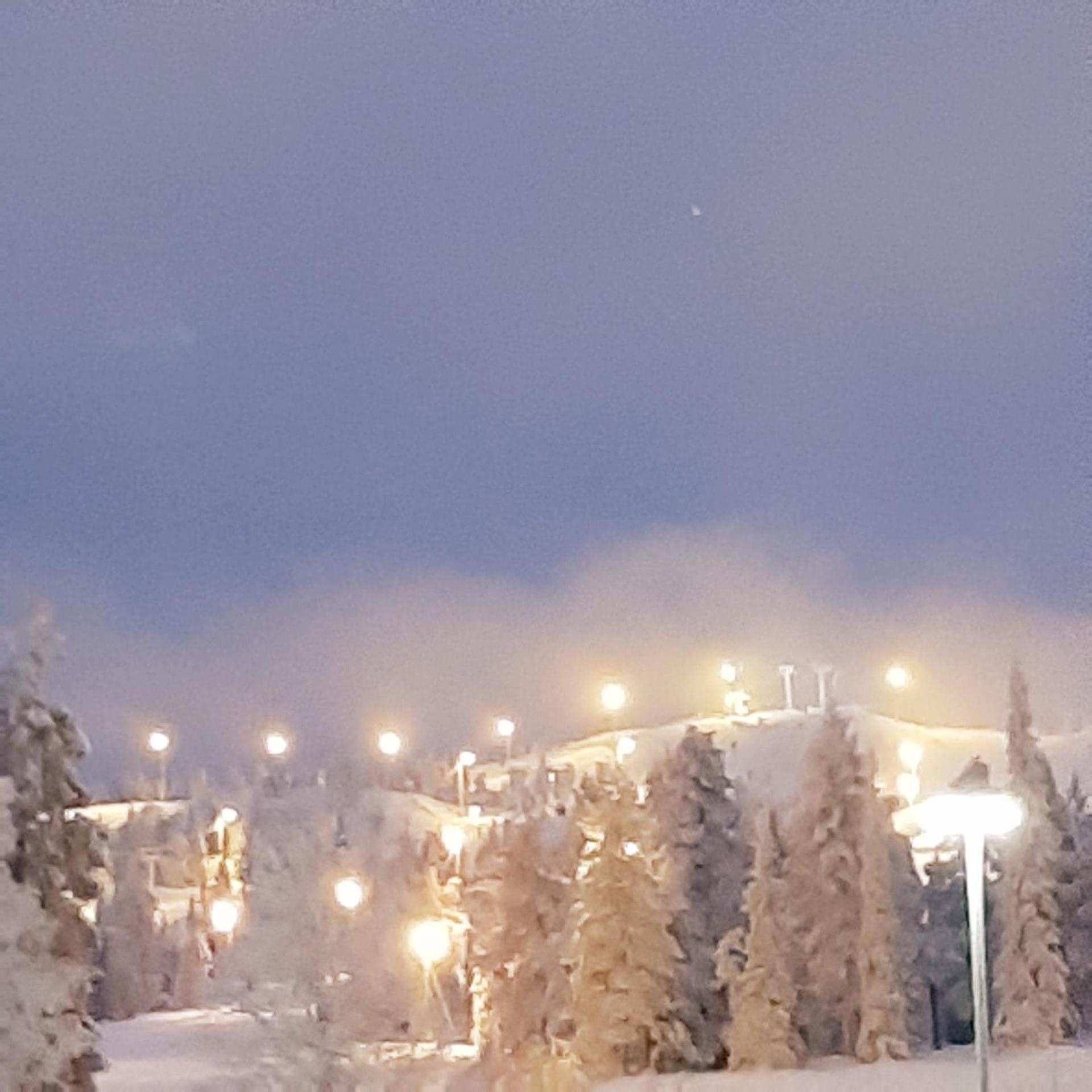 Chill Cave - logwood cottage